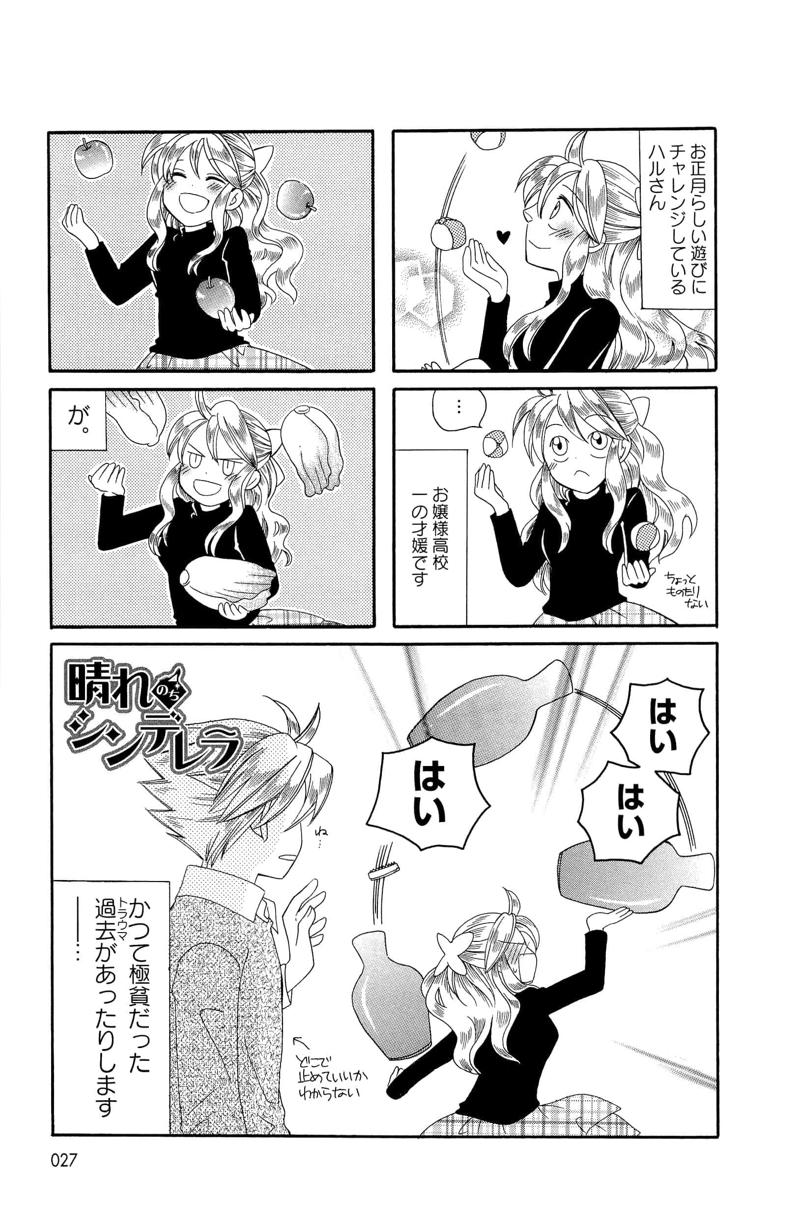Page 27