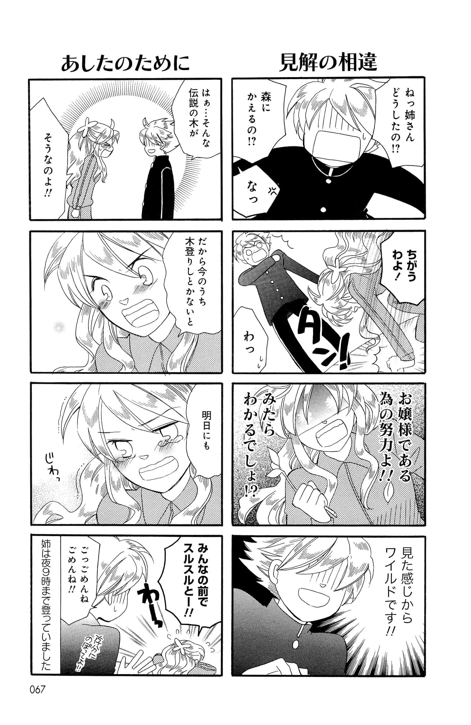 Page 67
