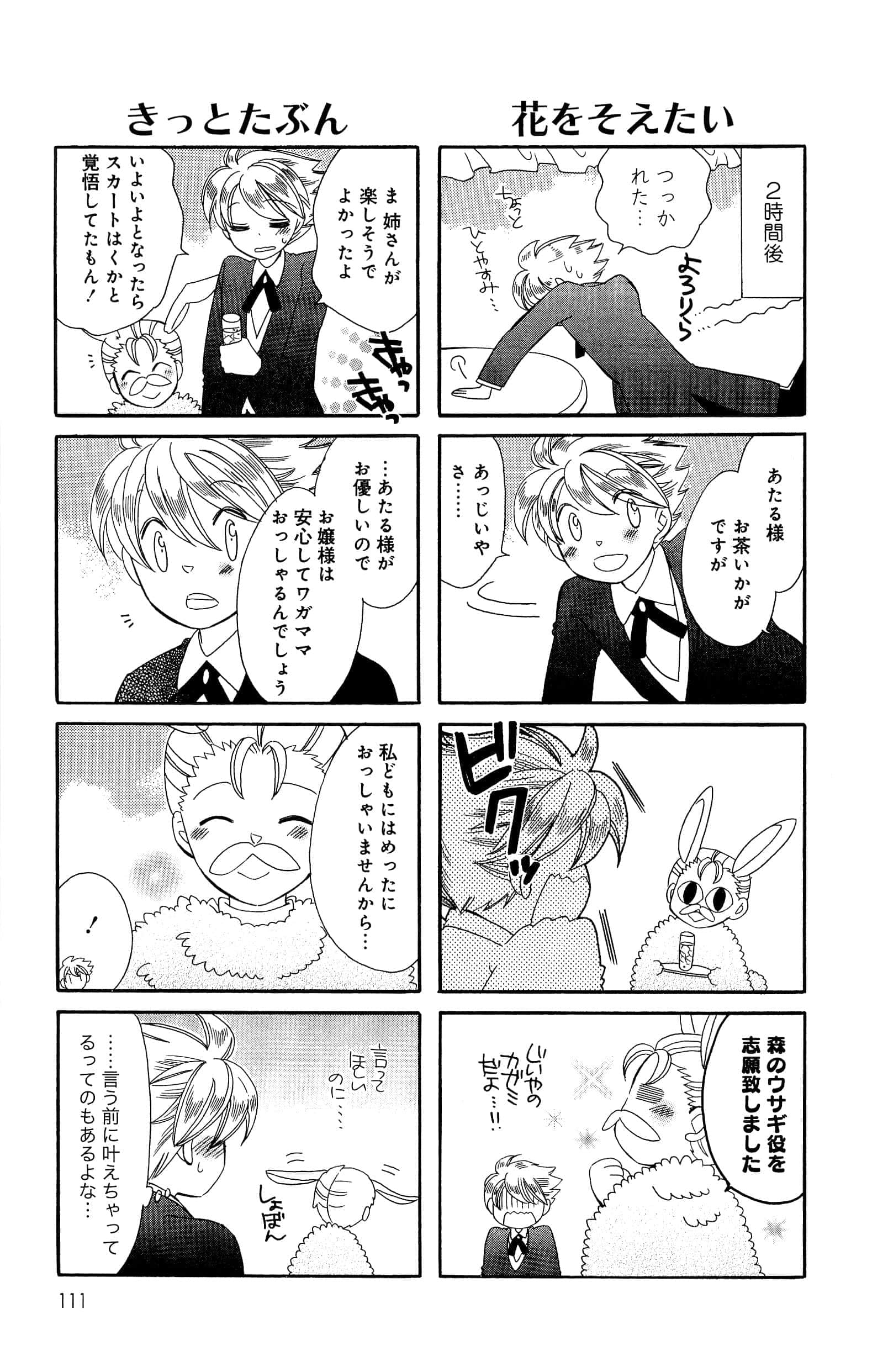 Page 111