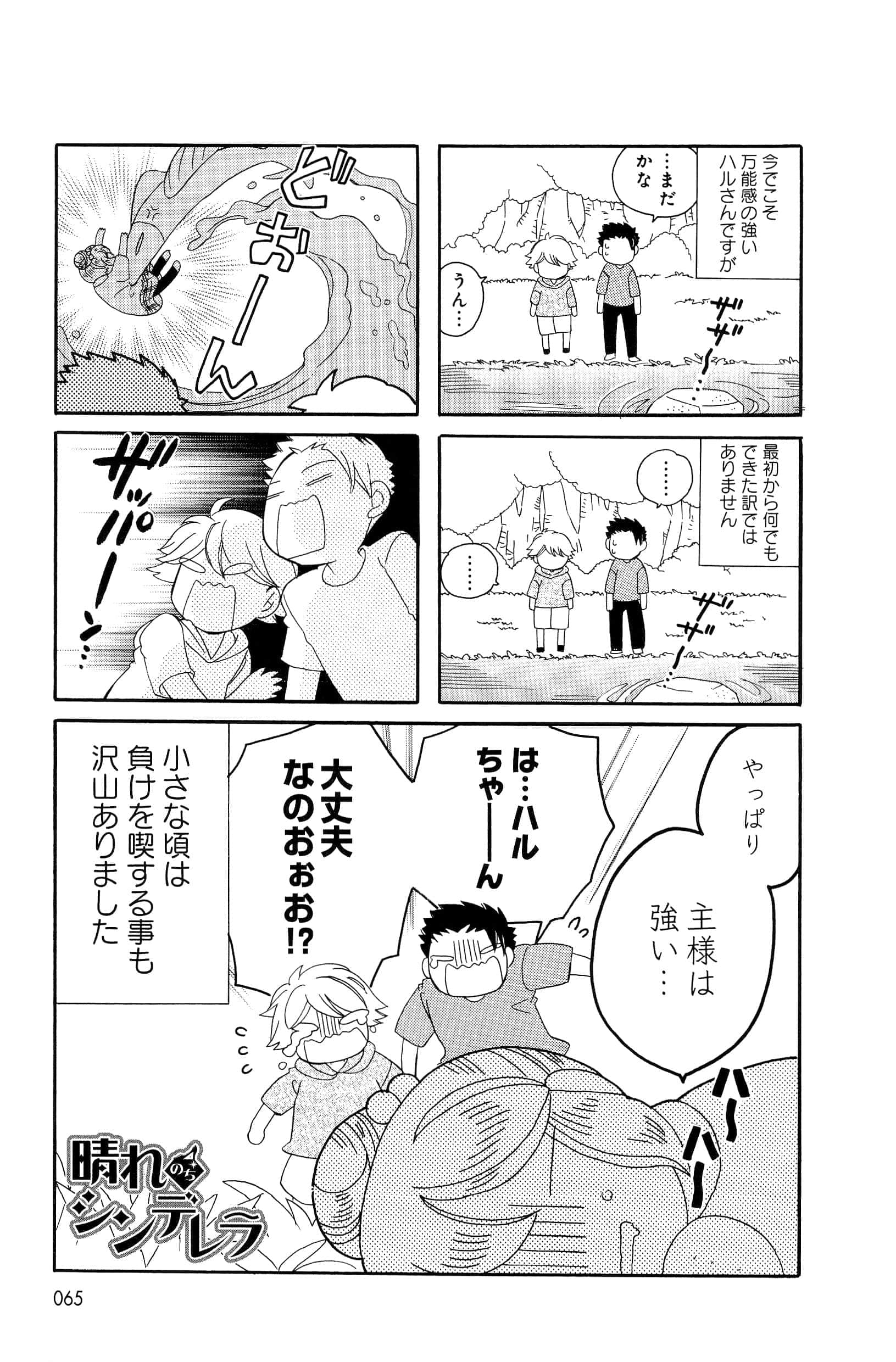 Page 65