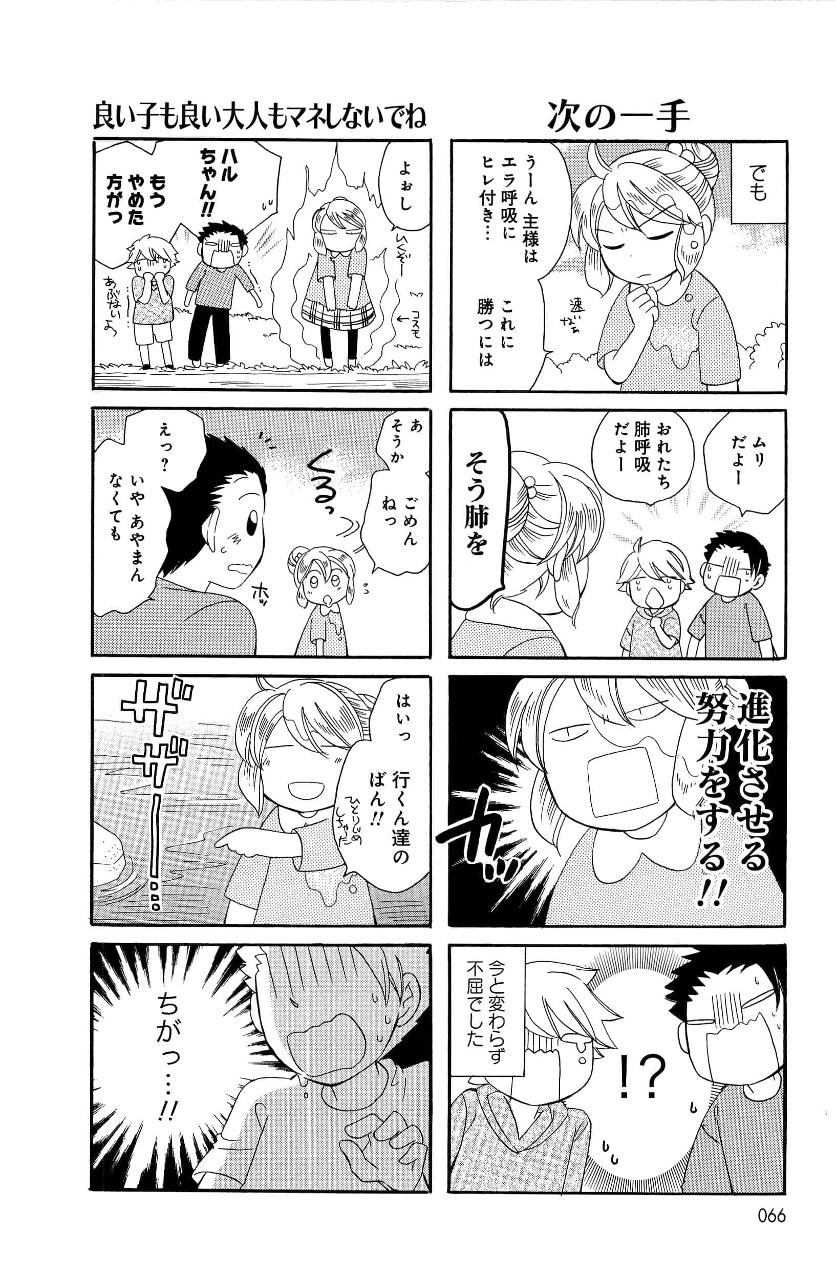 Page 66