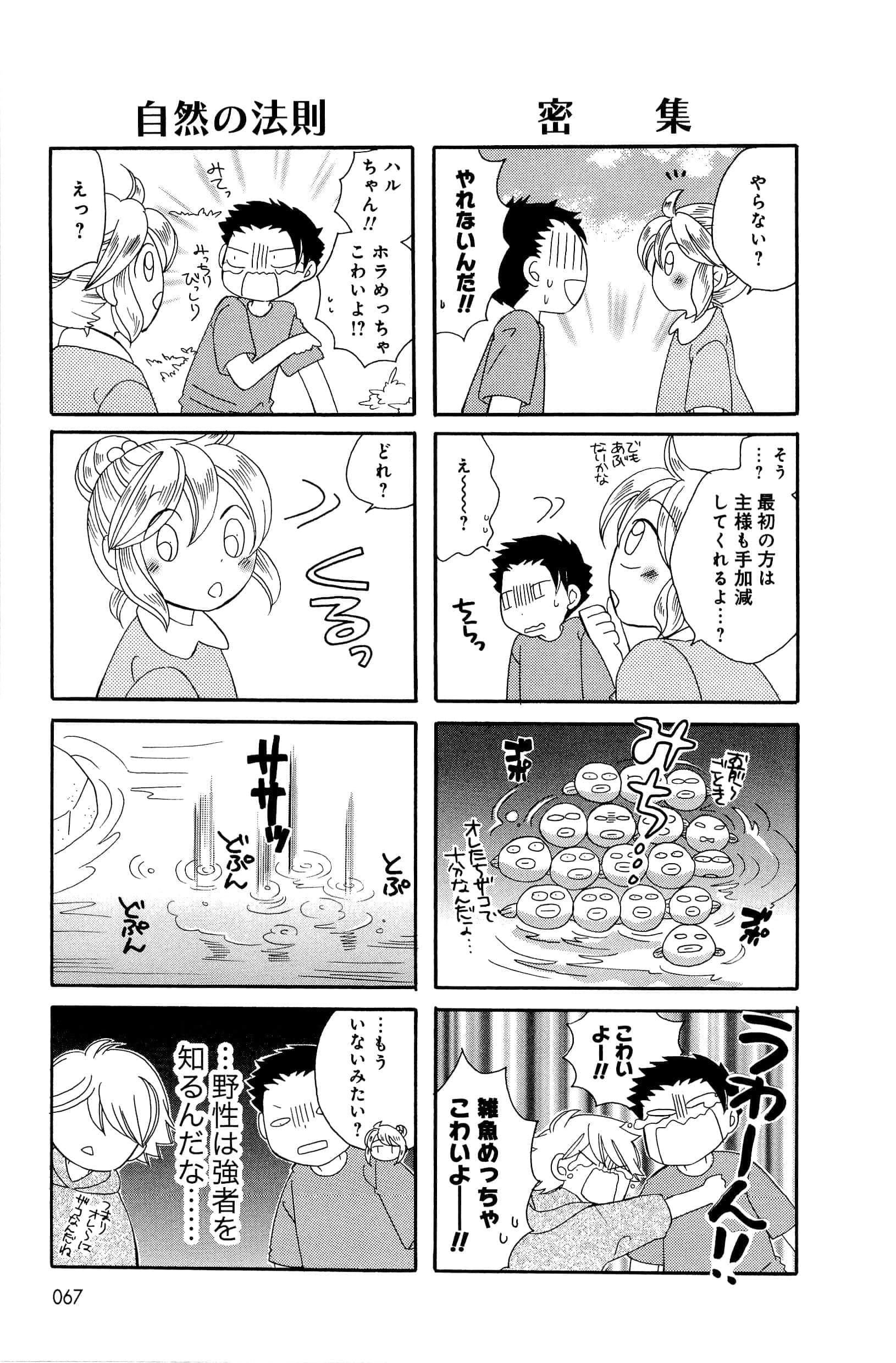 Page 67
