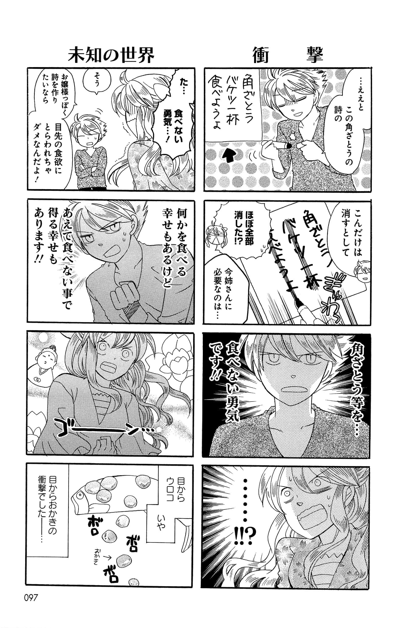 Page 97