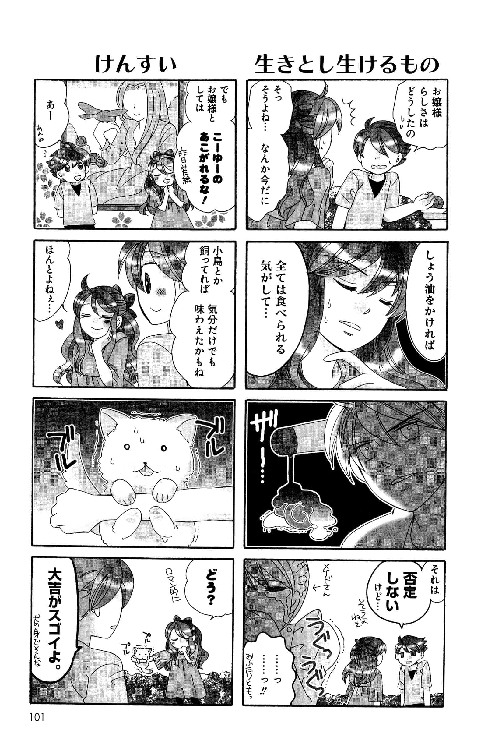 Page 101