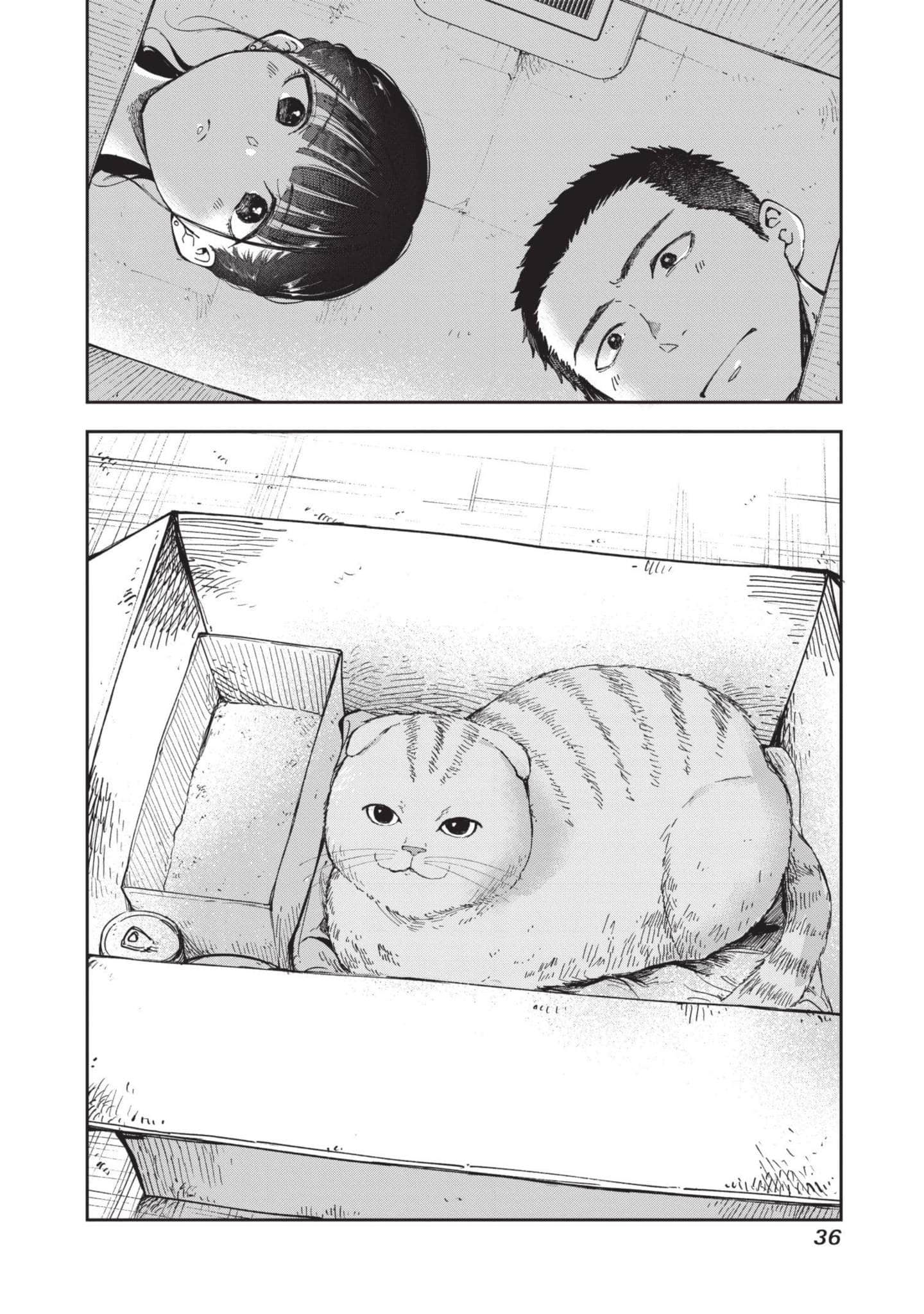 第 37 页