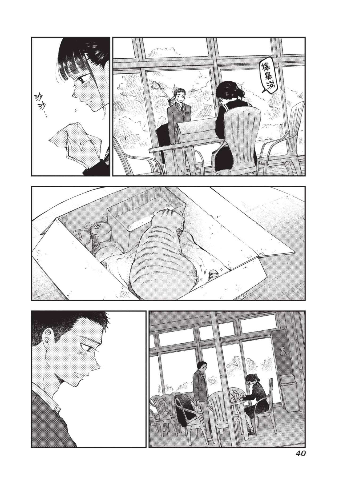 第 41 页