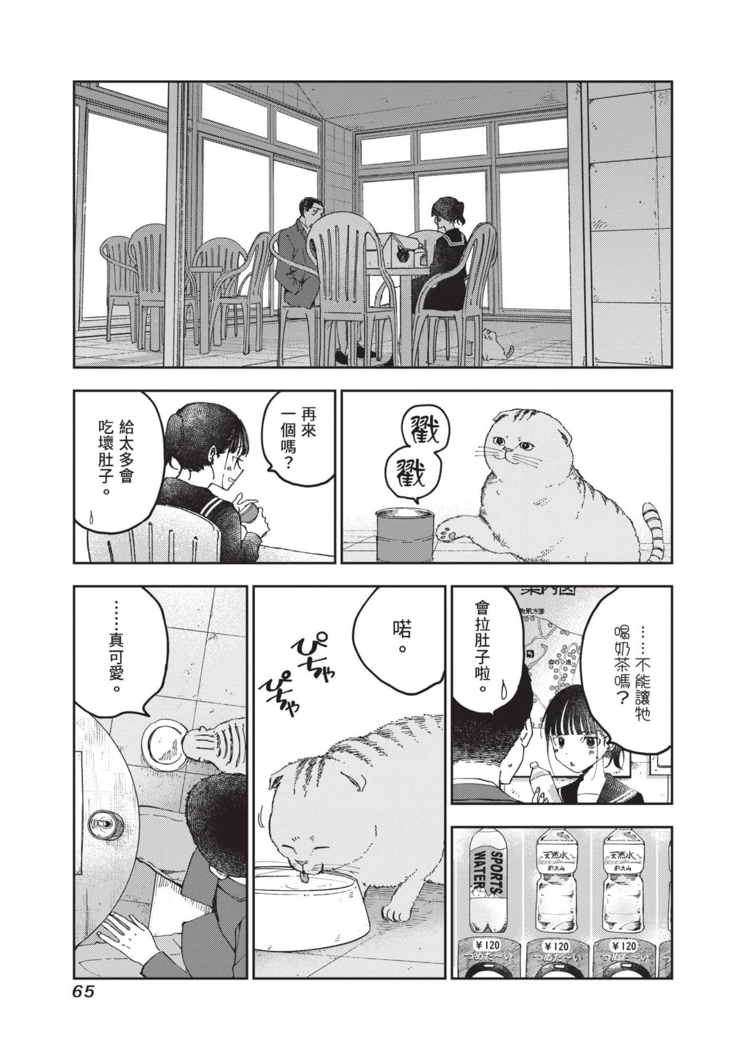 第 66 页