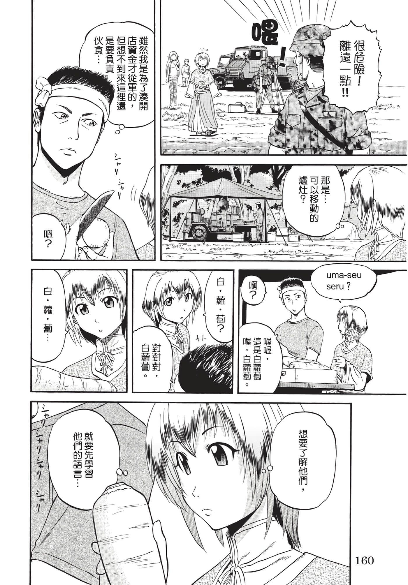 Page 161