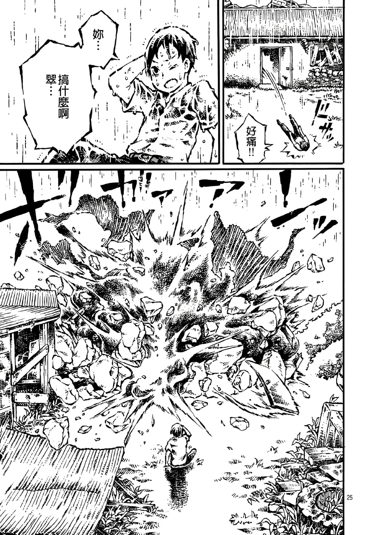 Page 25