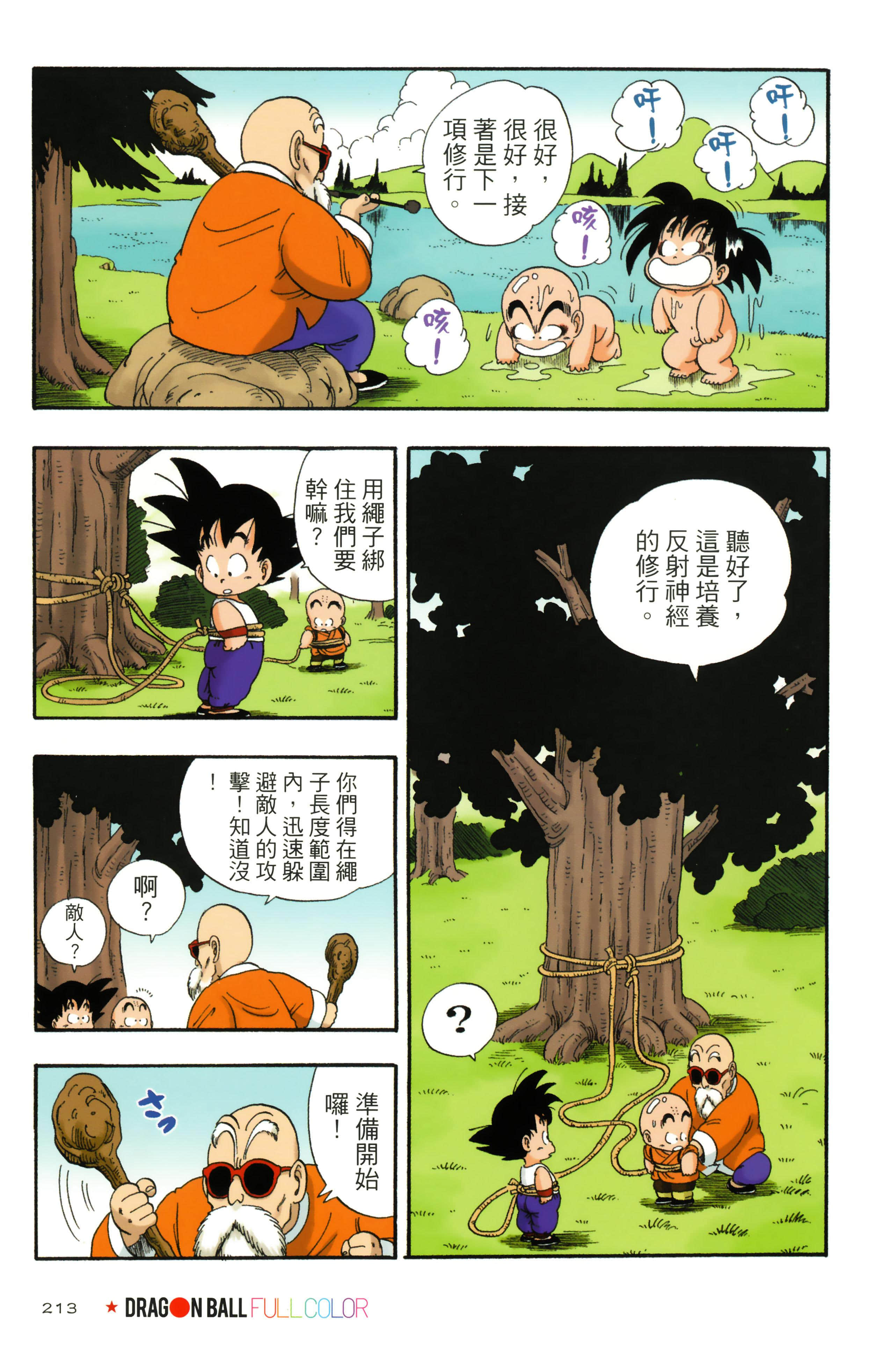Page 217