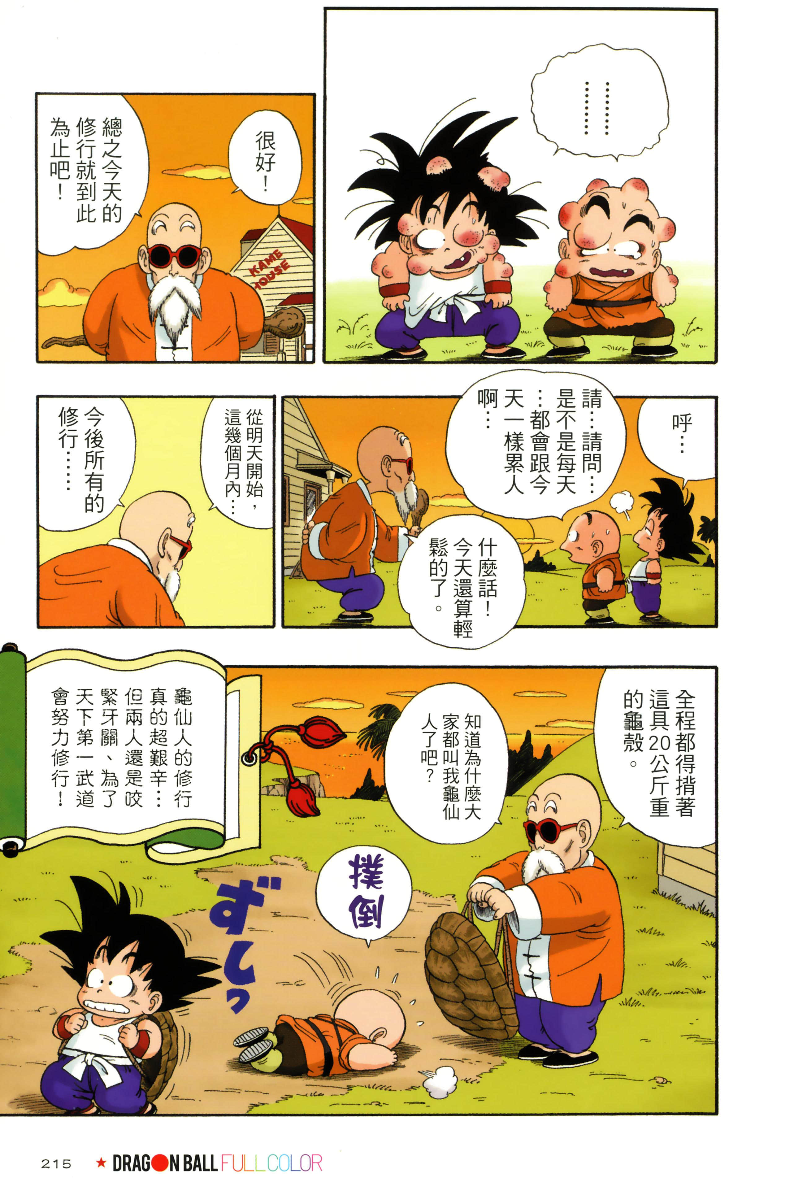 Page 219