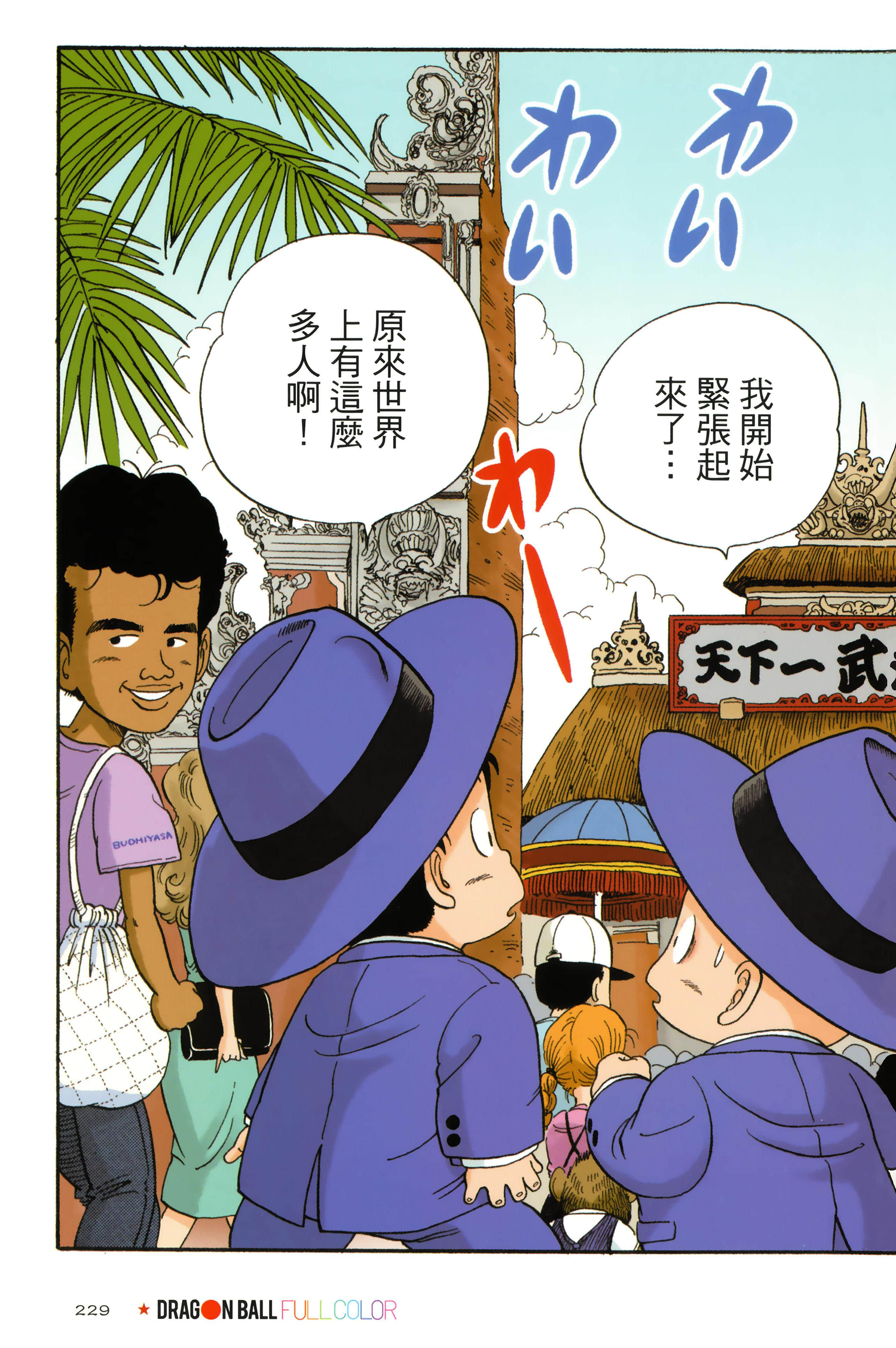 Page 233