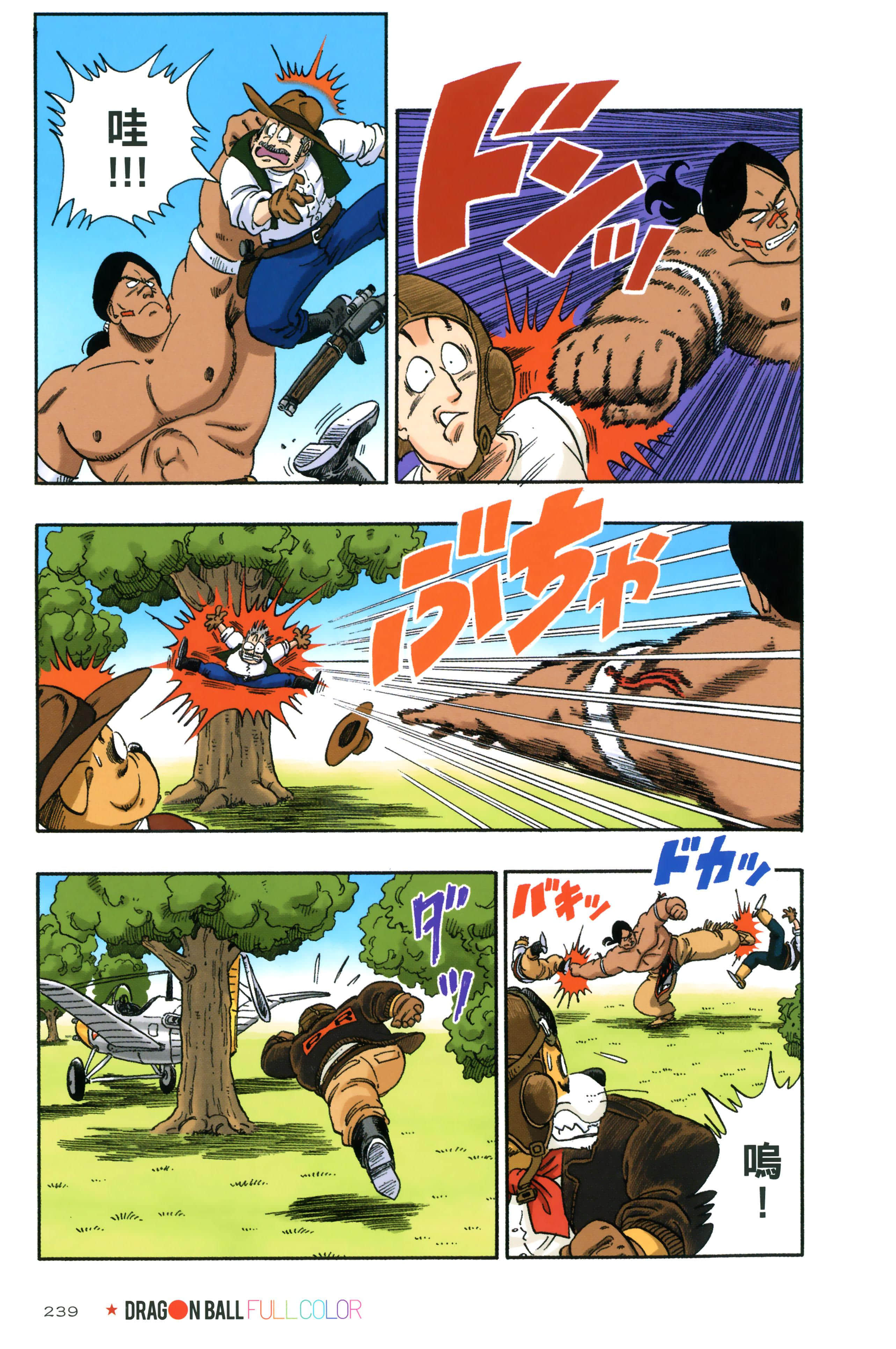 Page 243