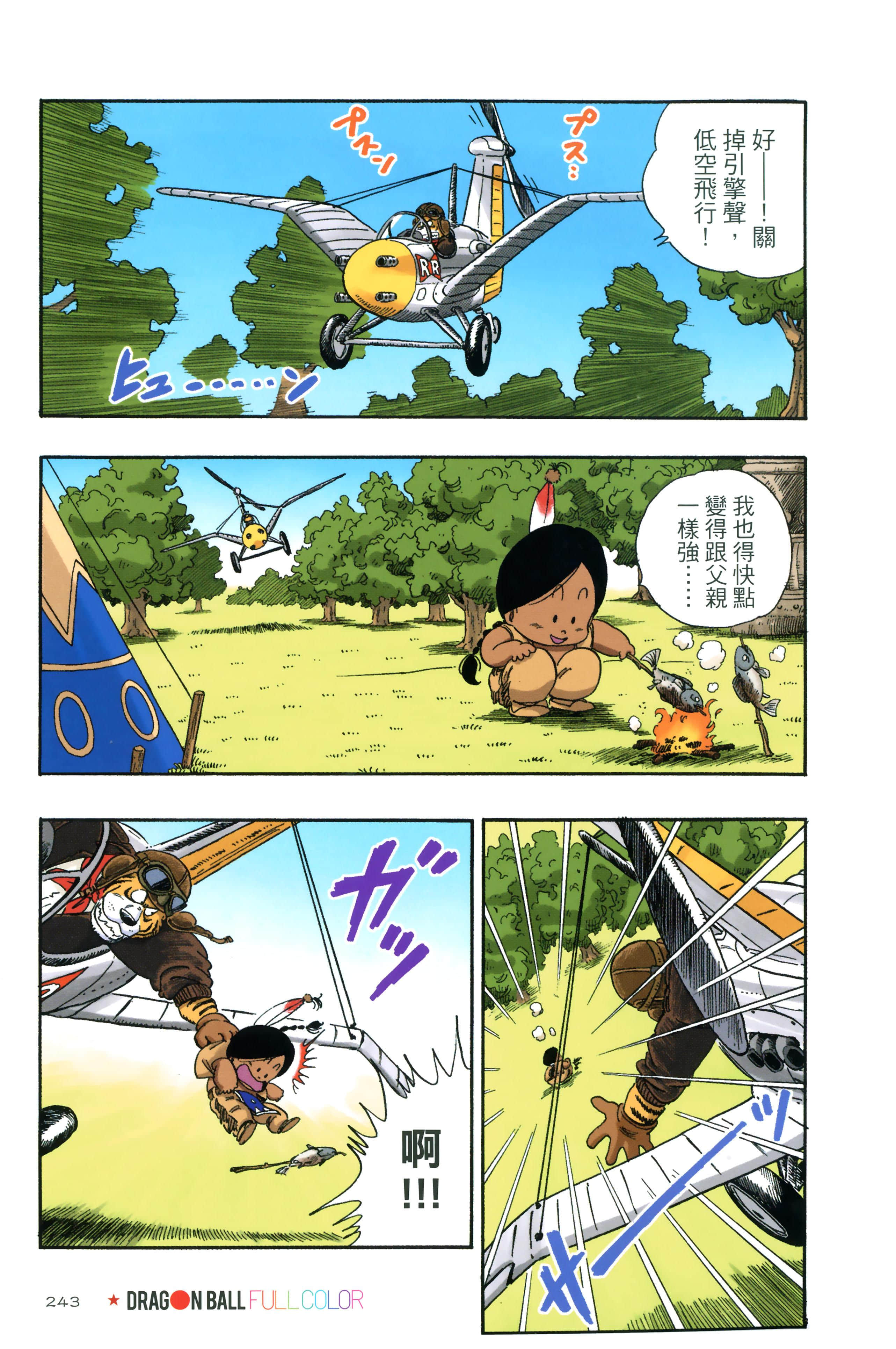 Page 247
