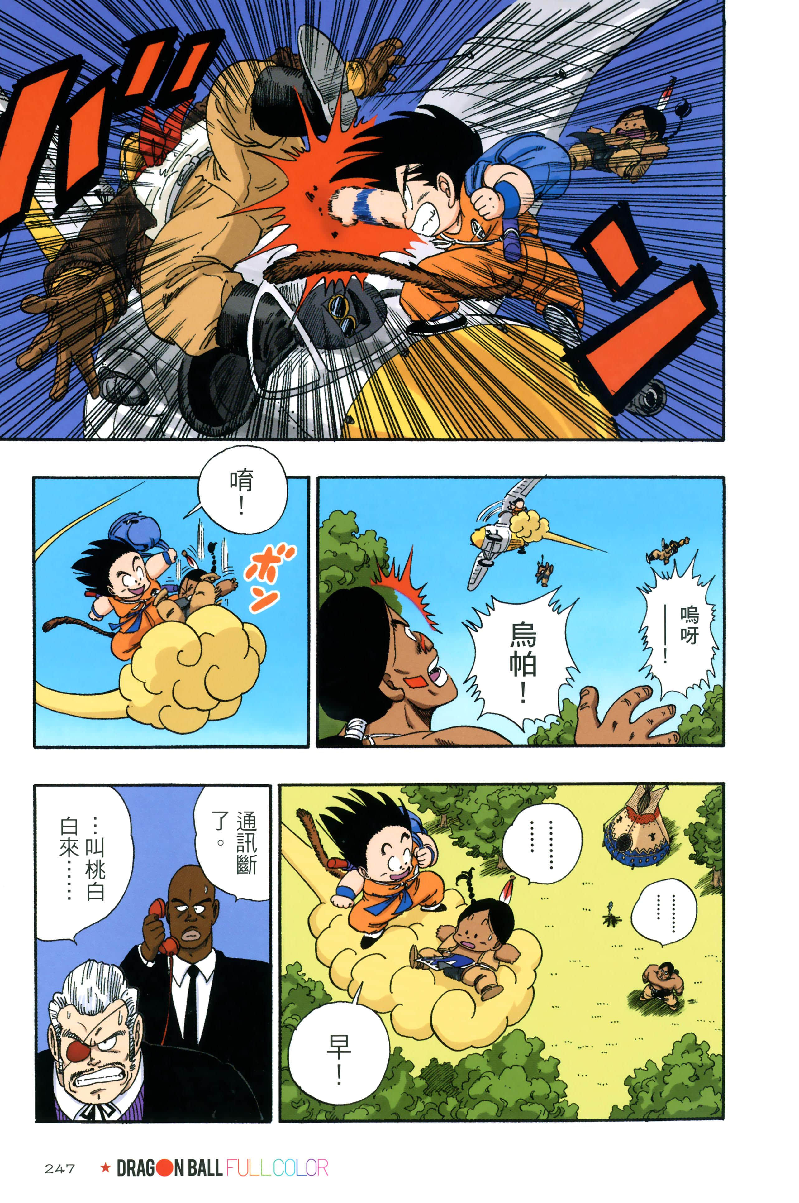 Page 251