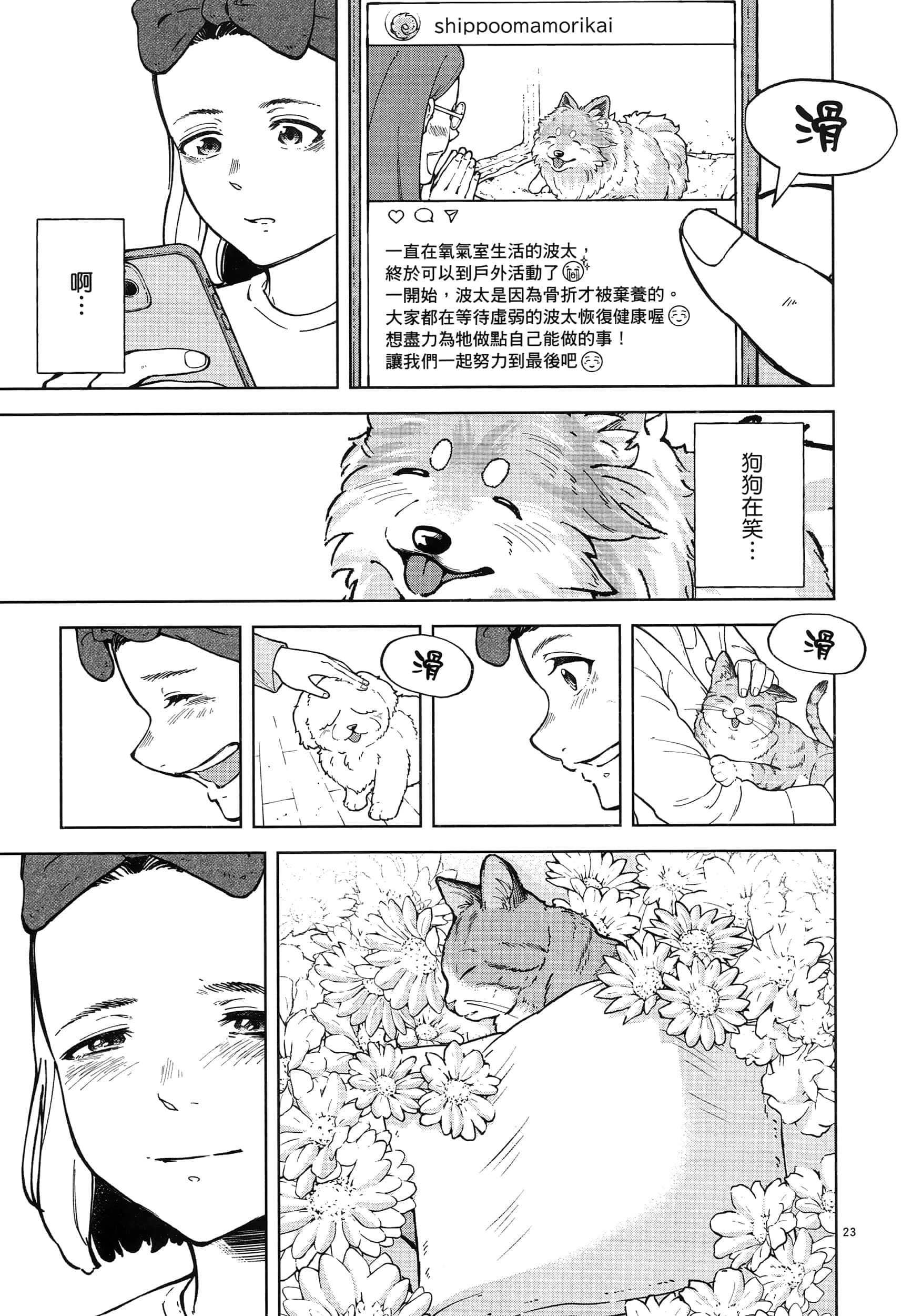 Page 113