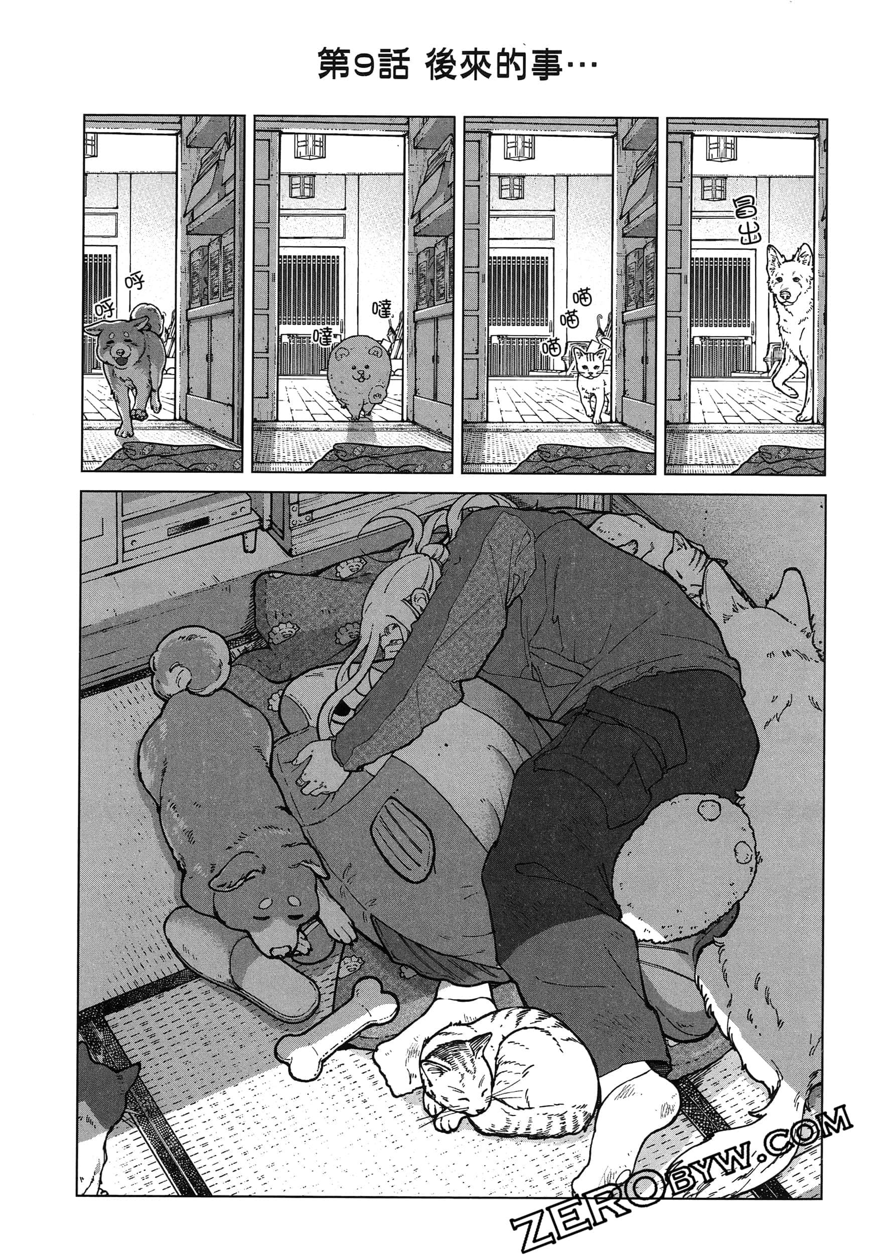 Page 43
