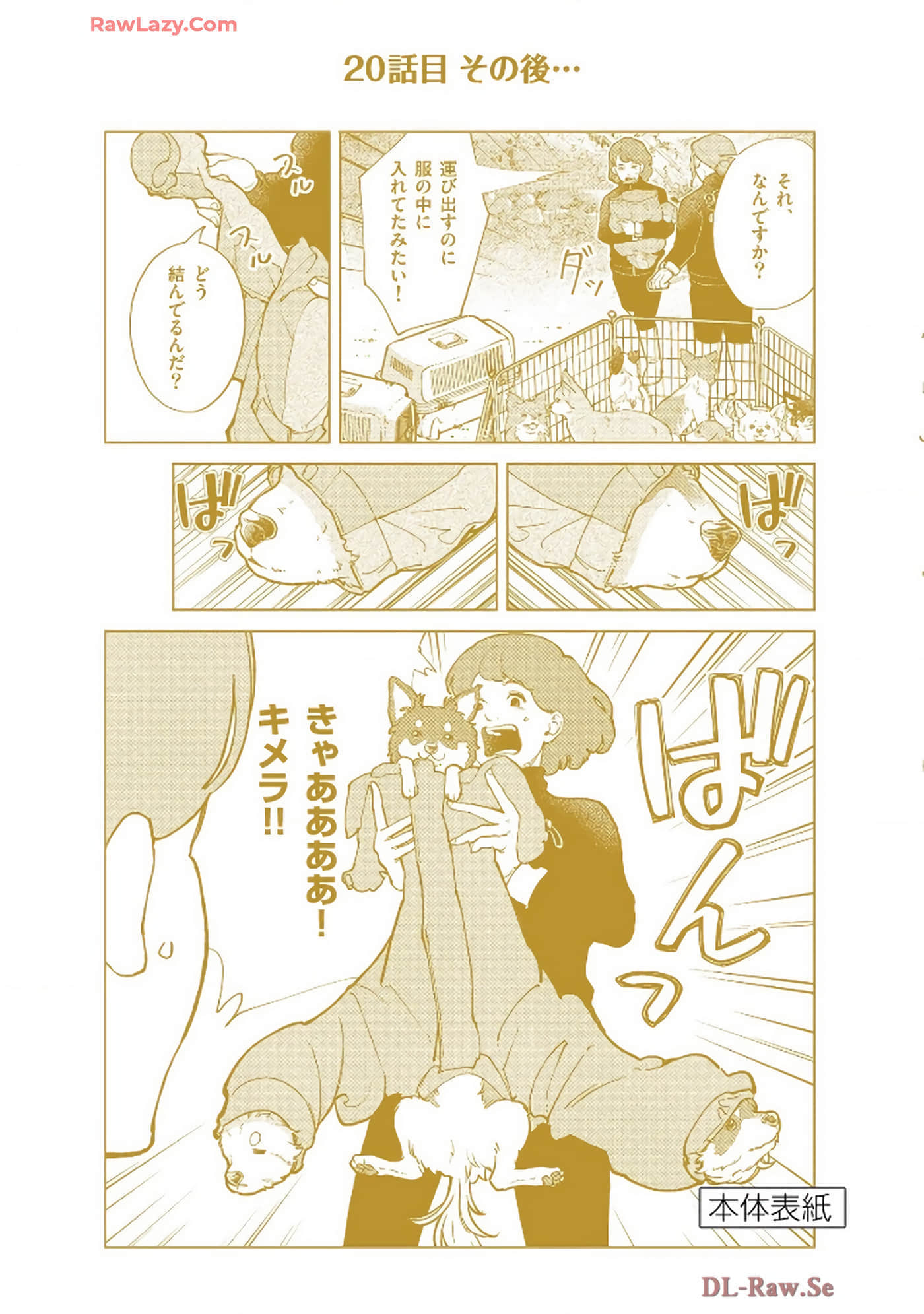 Page 195