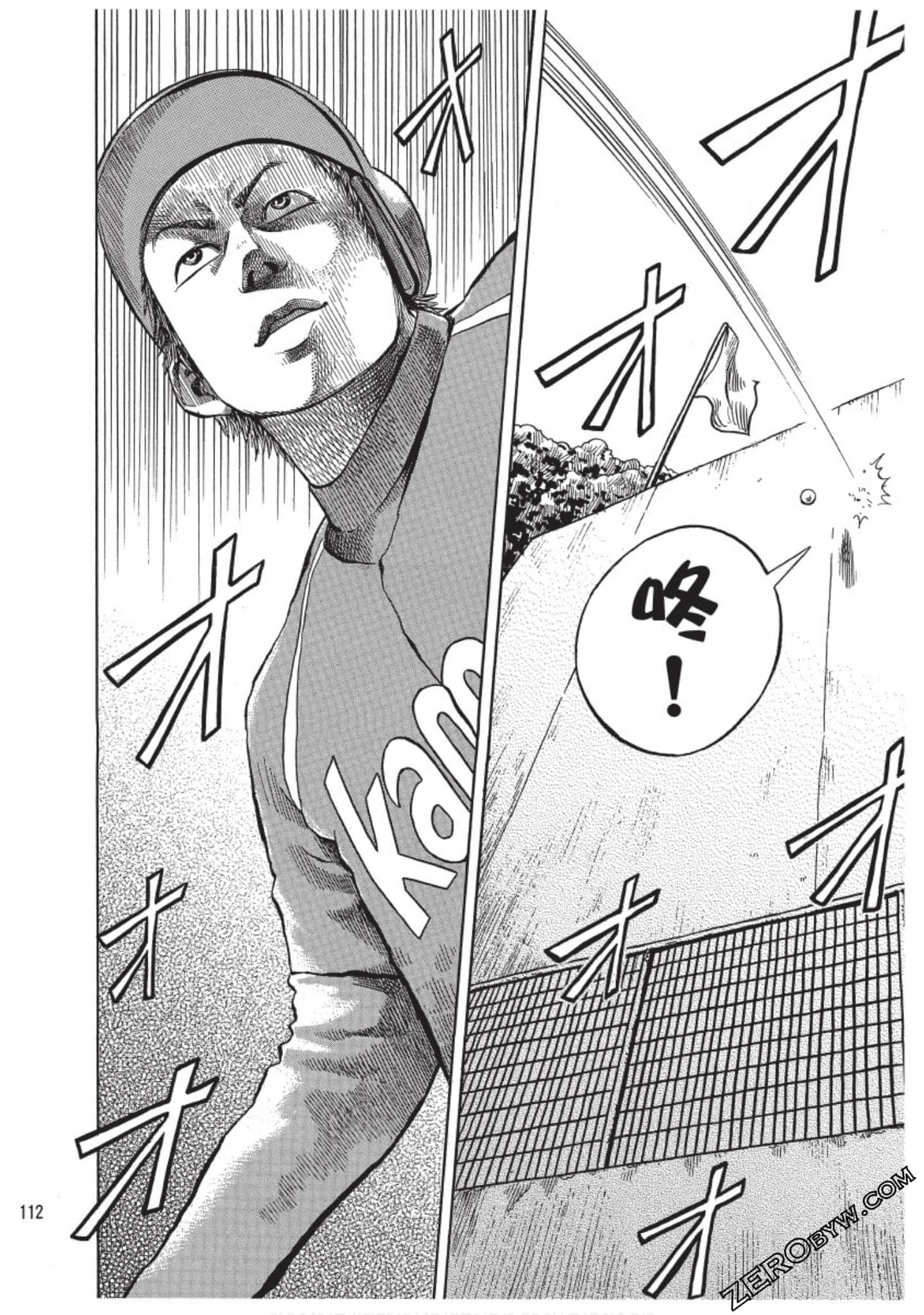 Page 111