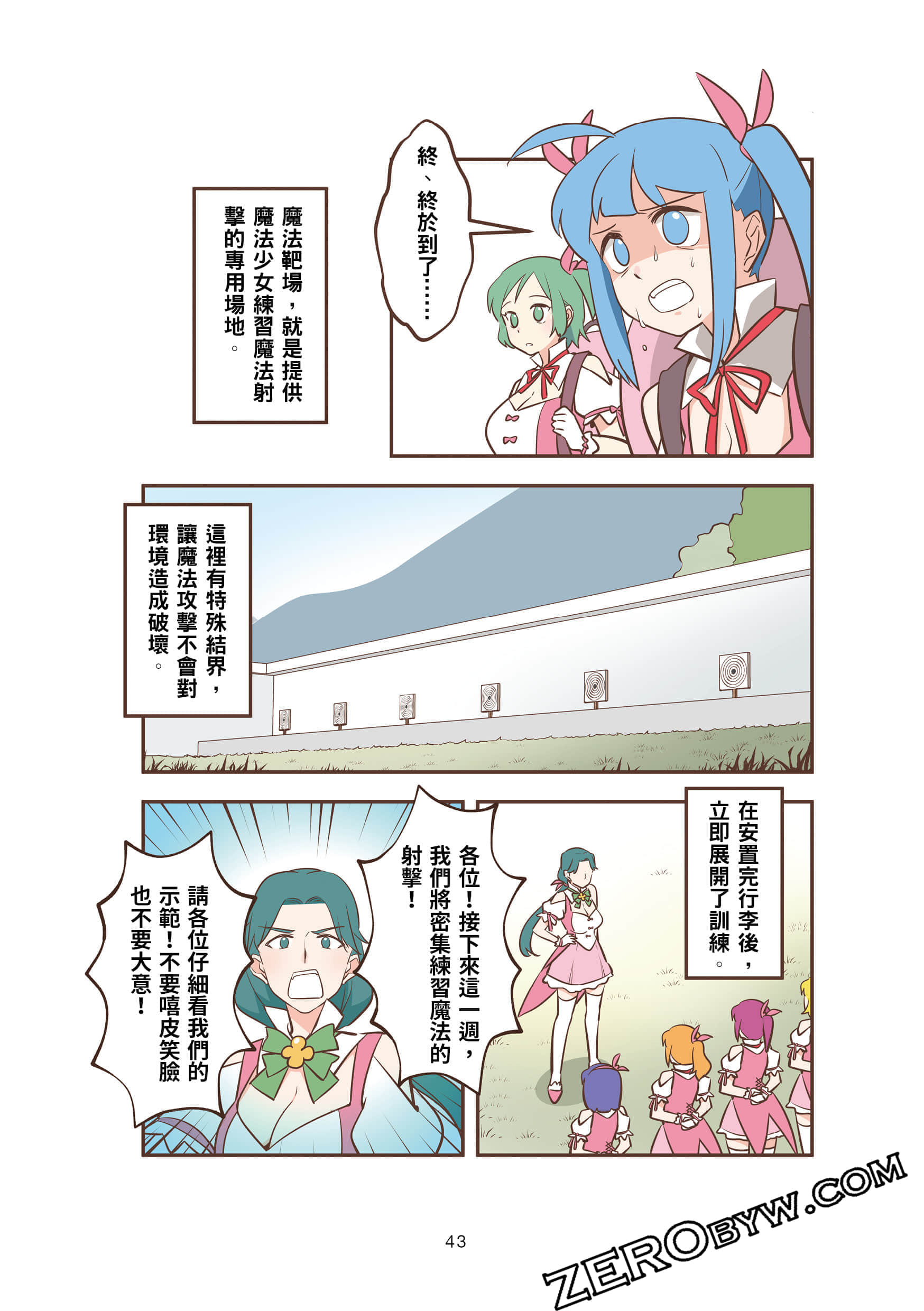 Page 43