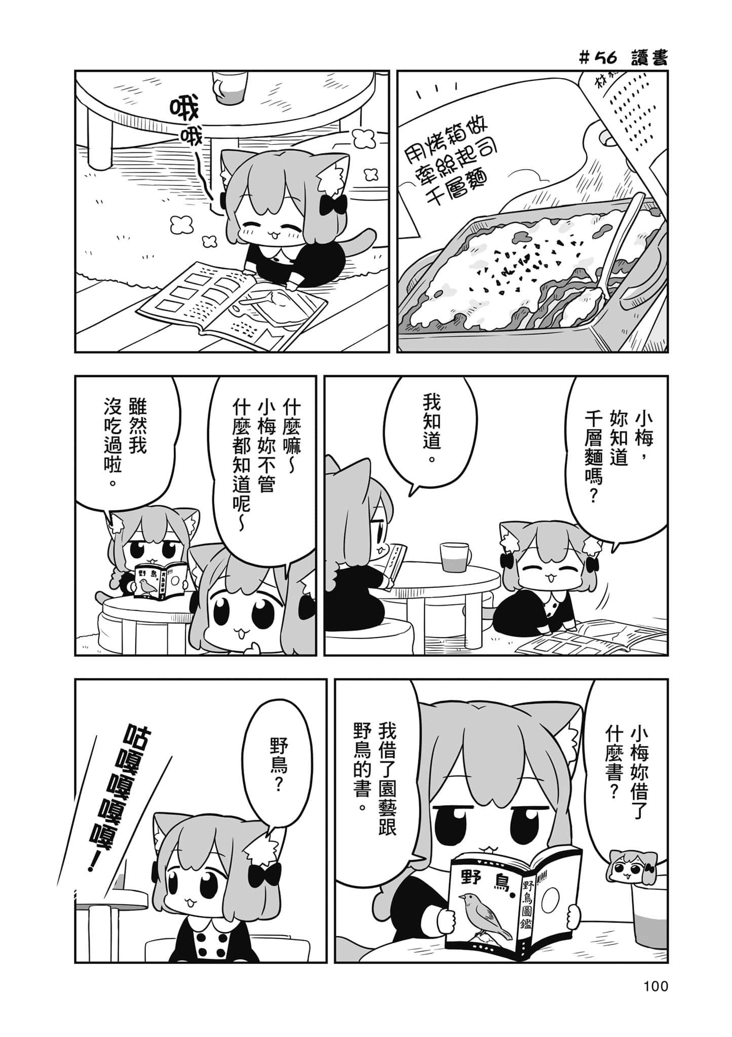 Page 101