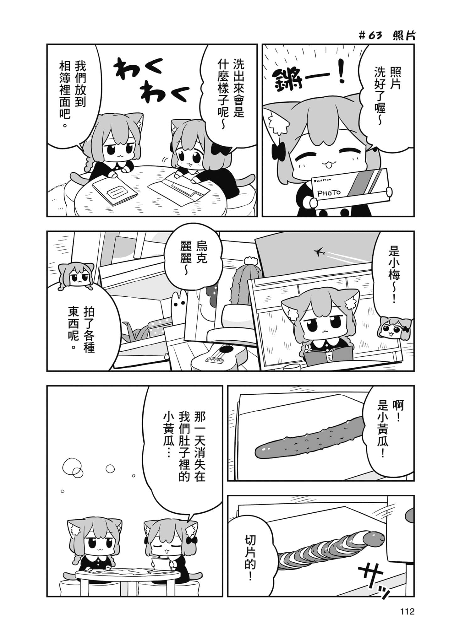 Page 113