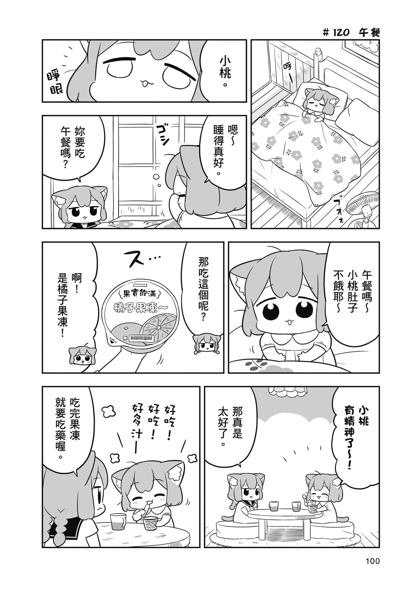 Page 101