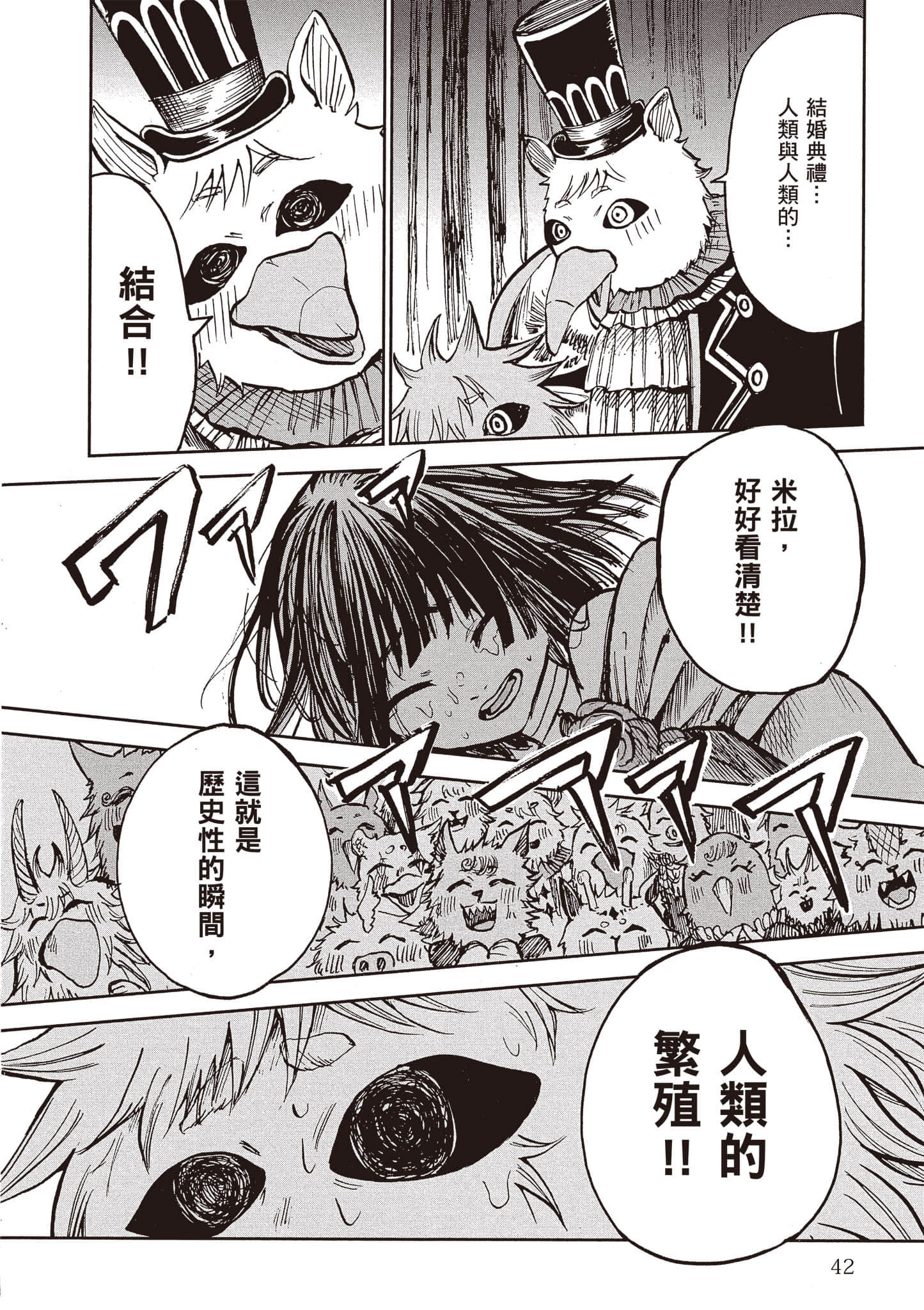 第 43 页