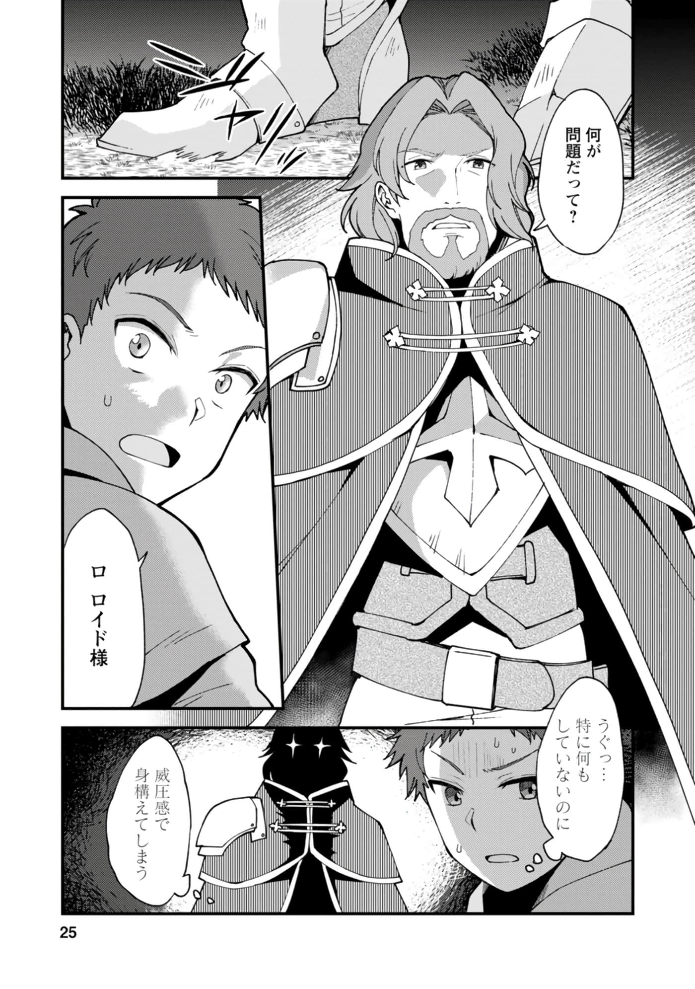 Page 25