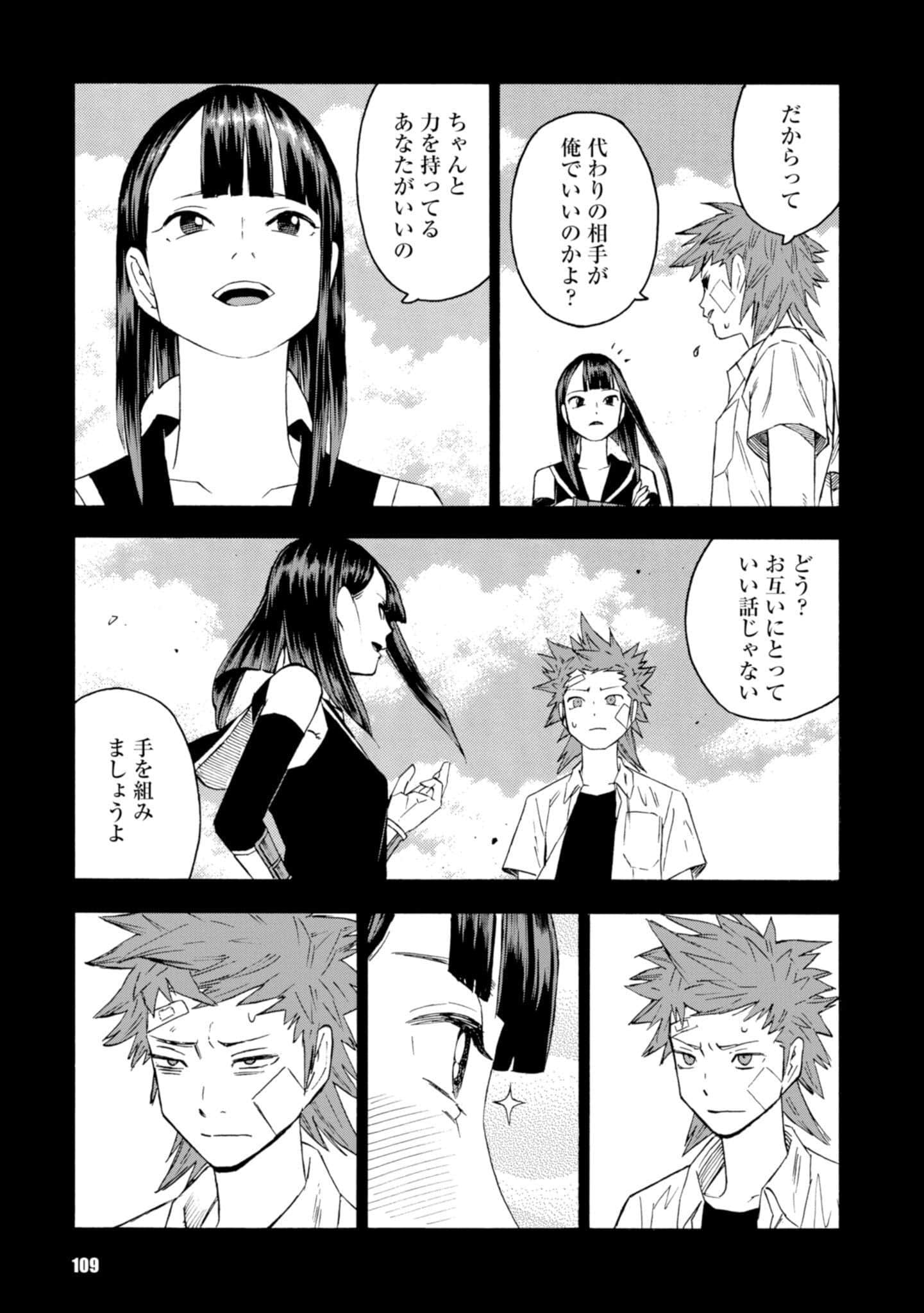 Page 111