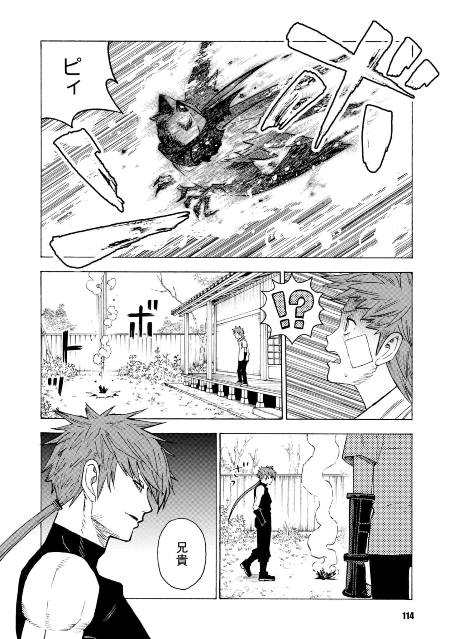 Page 116
