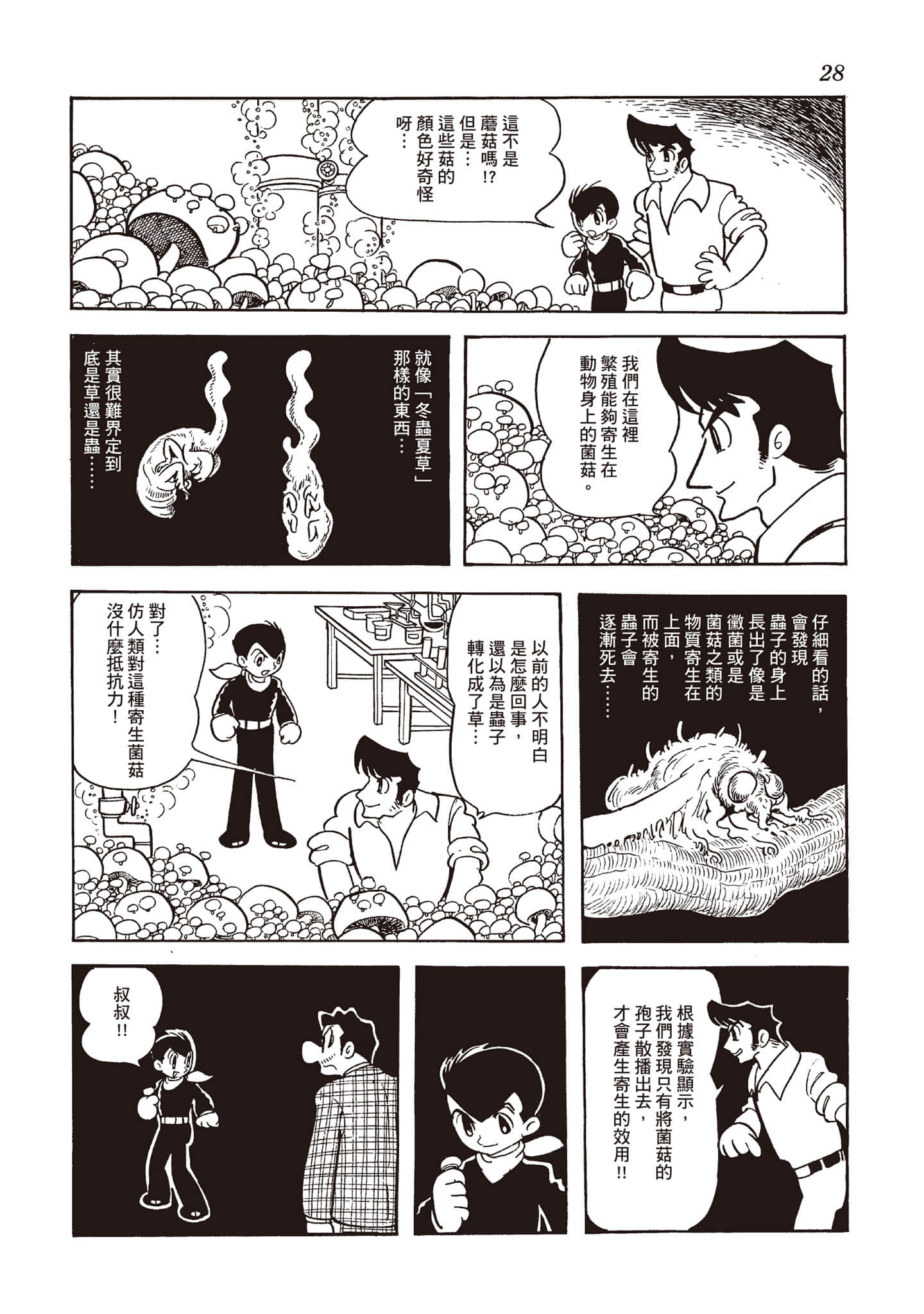 第 27 页