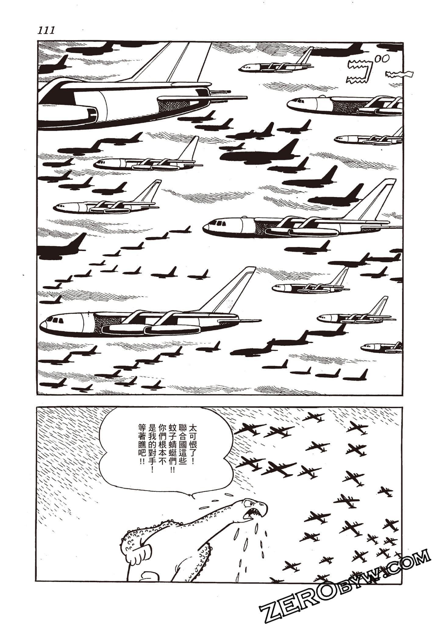 第 110 页