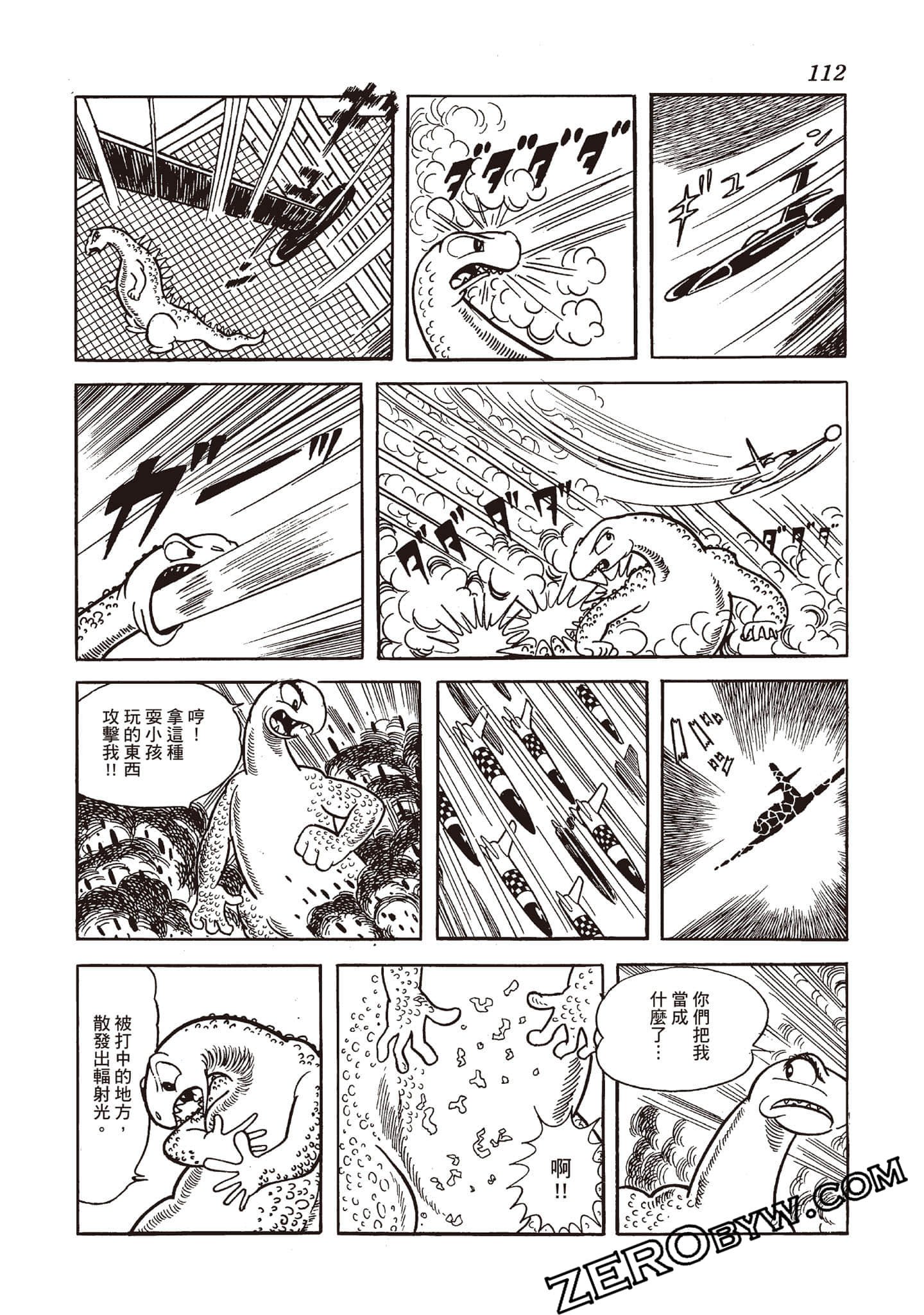 第 111 页