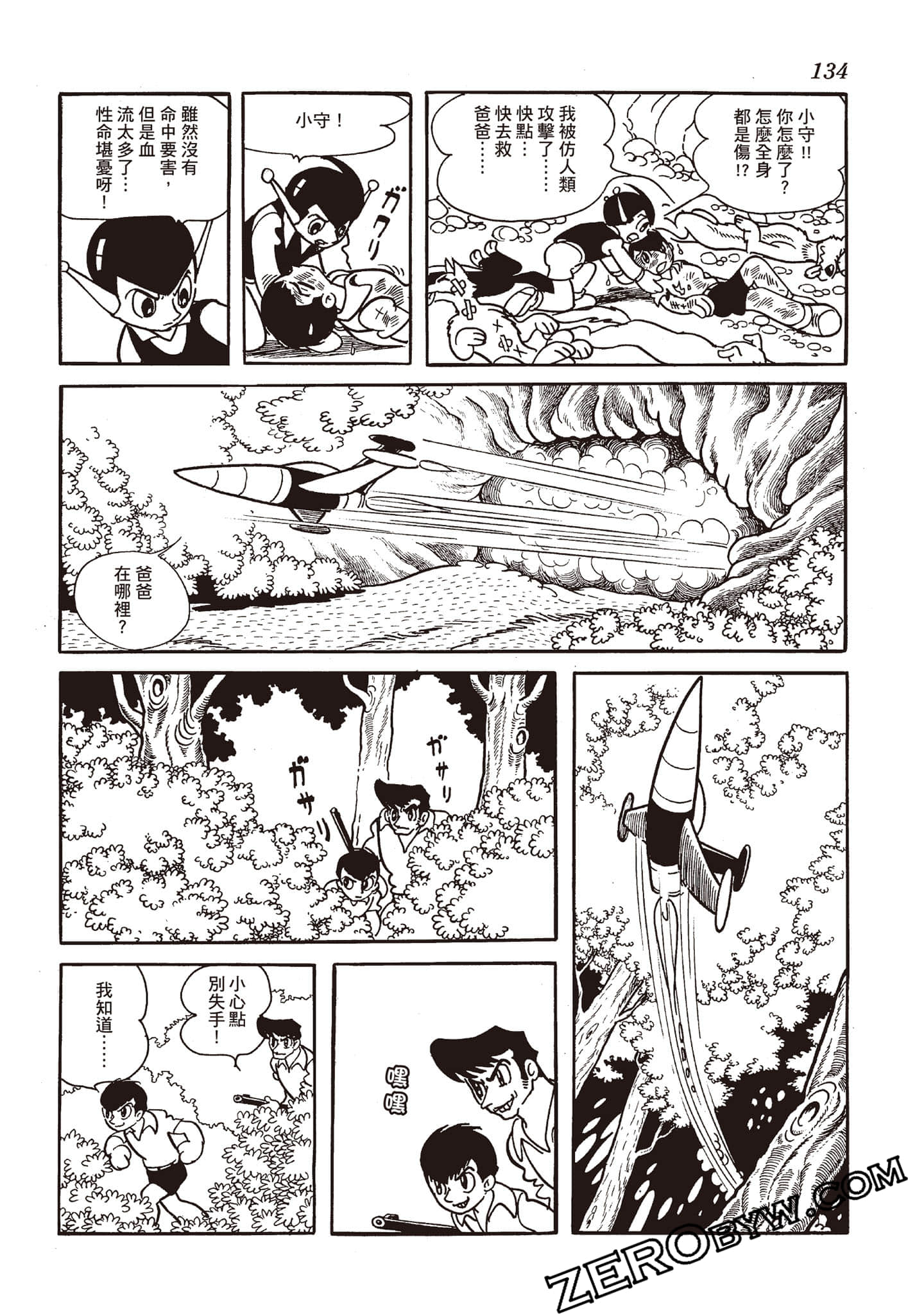 第 133 页