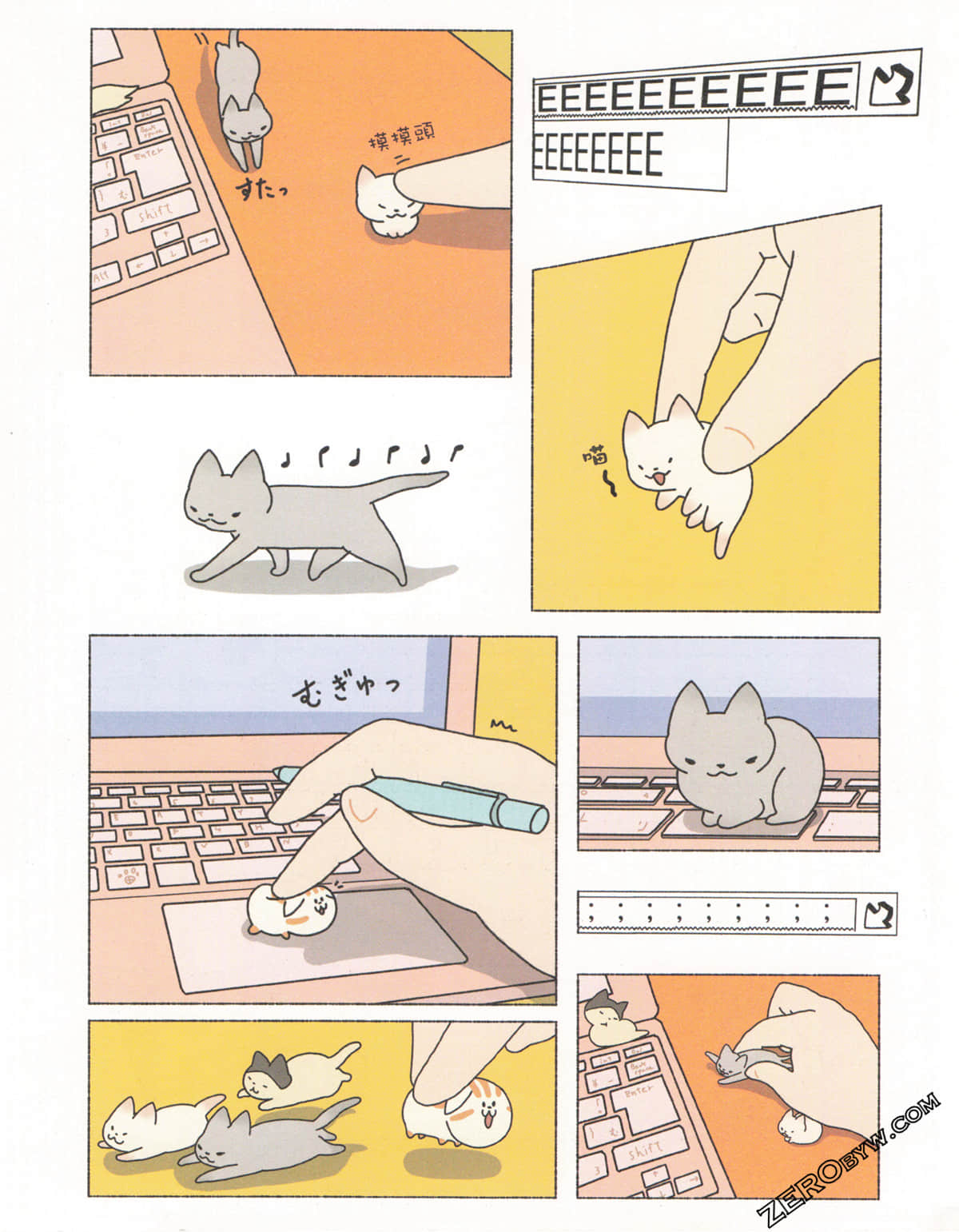 Page 43