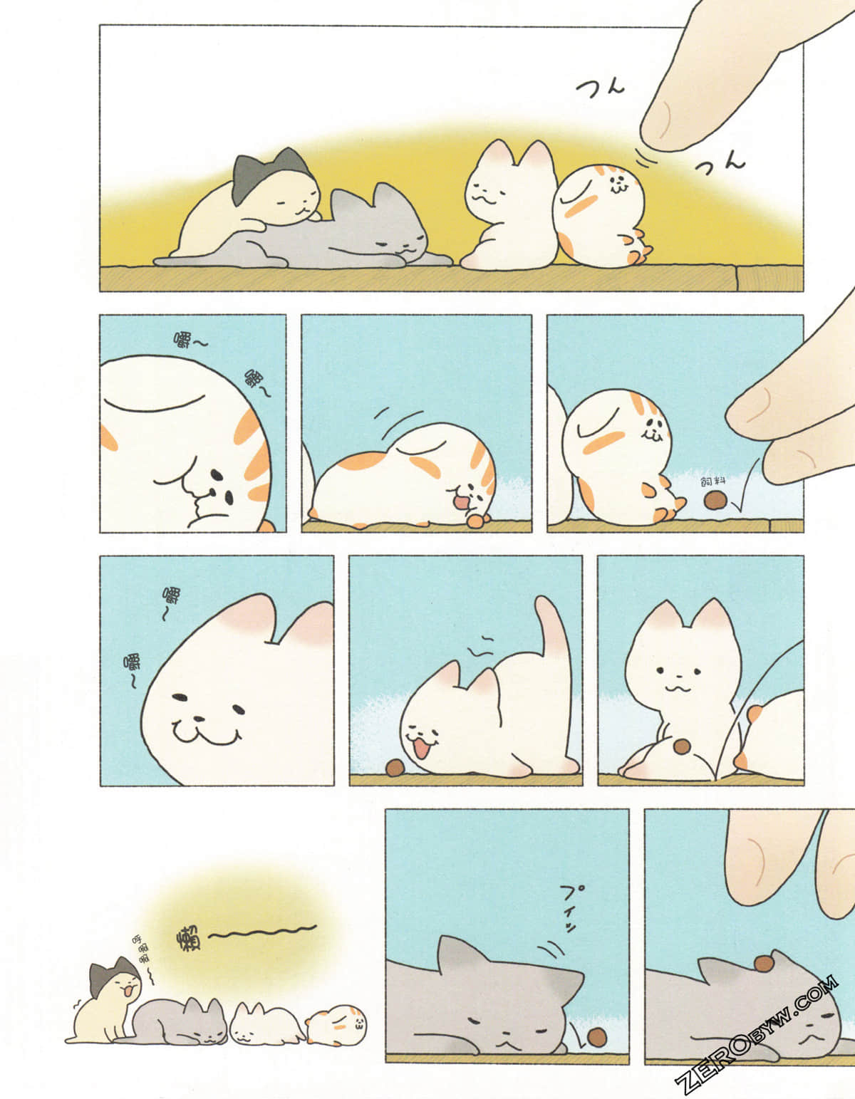 Page 51