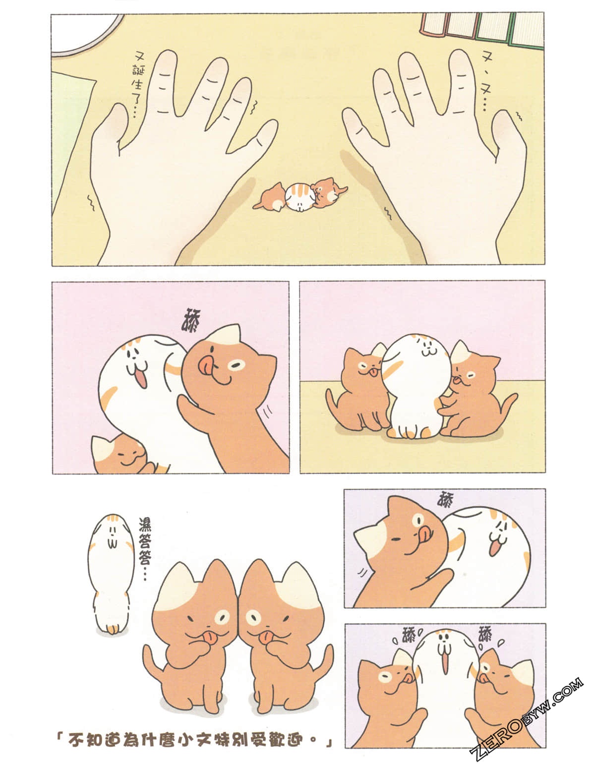 Page 56