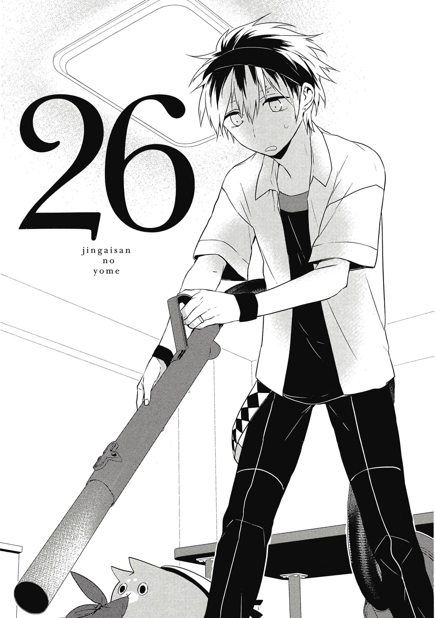Page 26