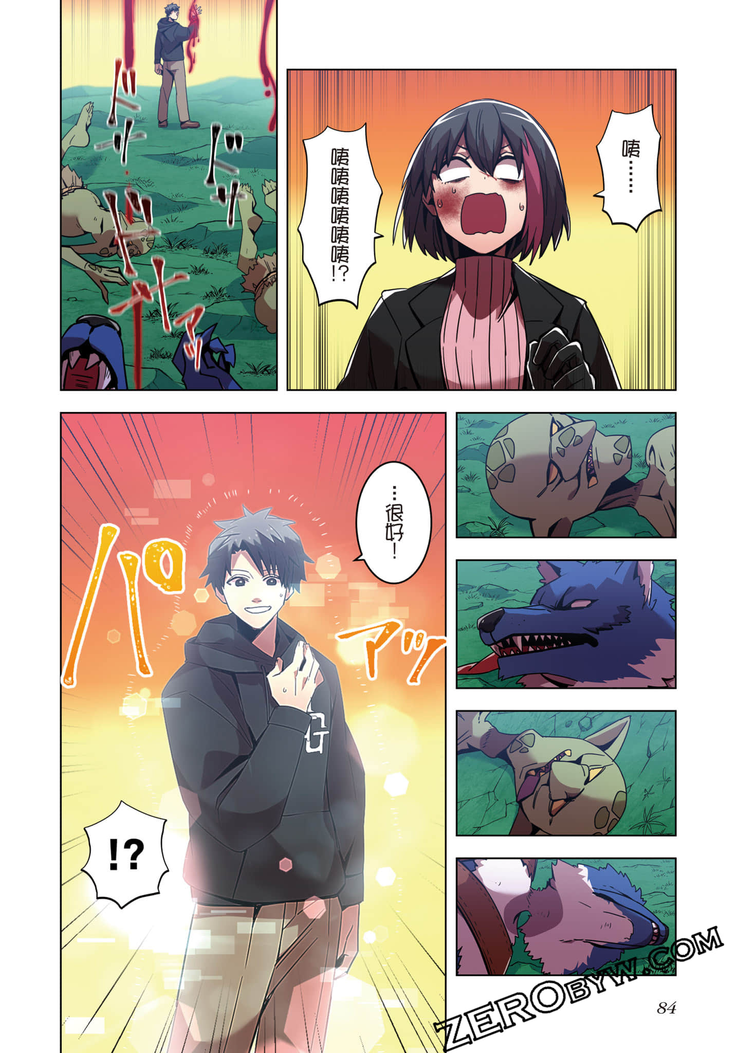 第 85 页