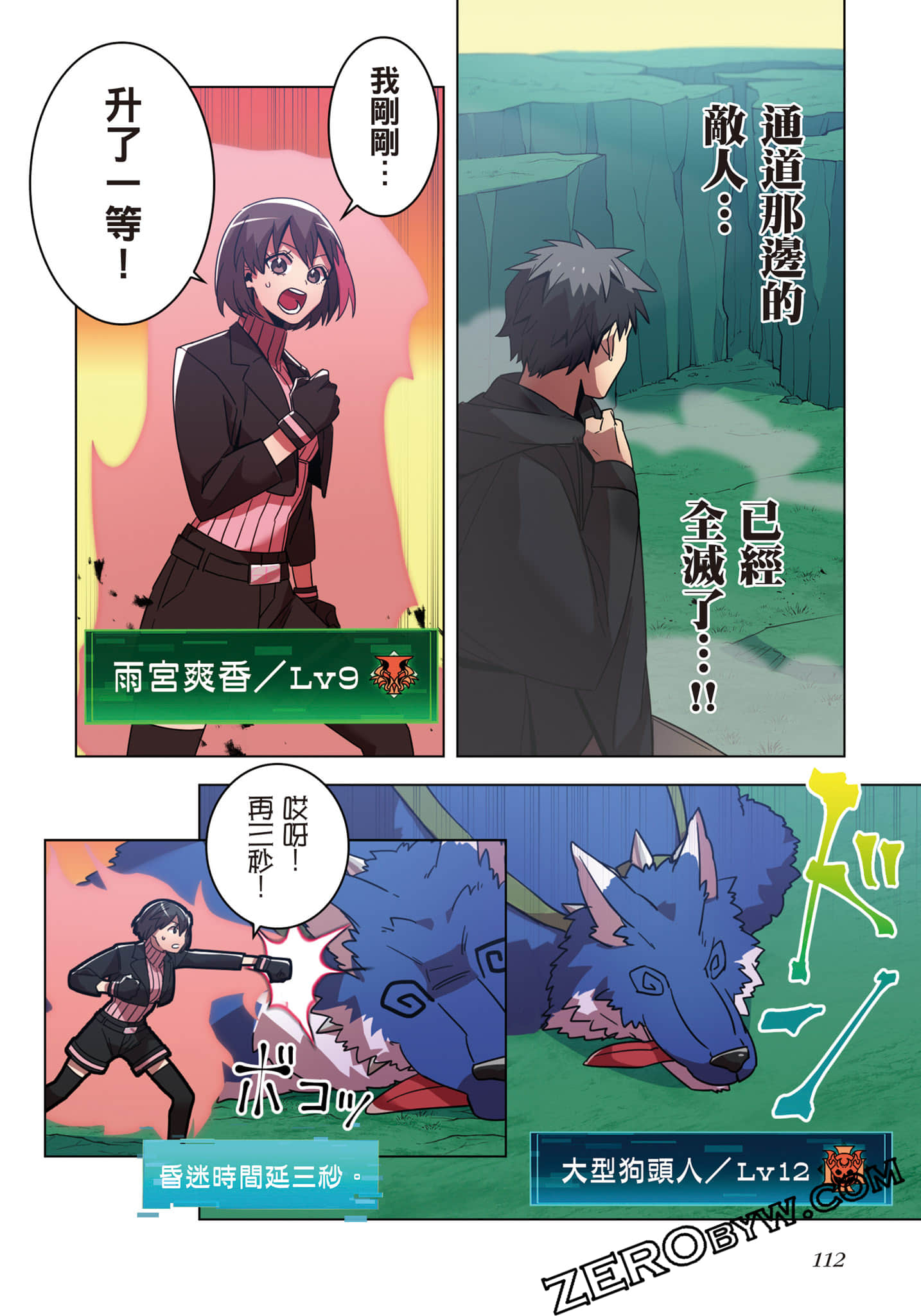 第 113 页