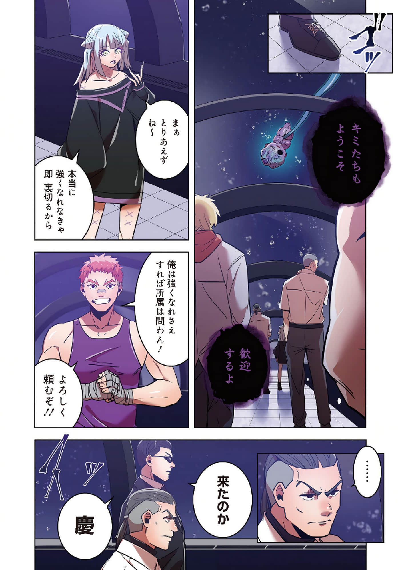 第 12 页