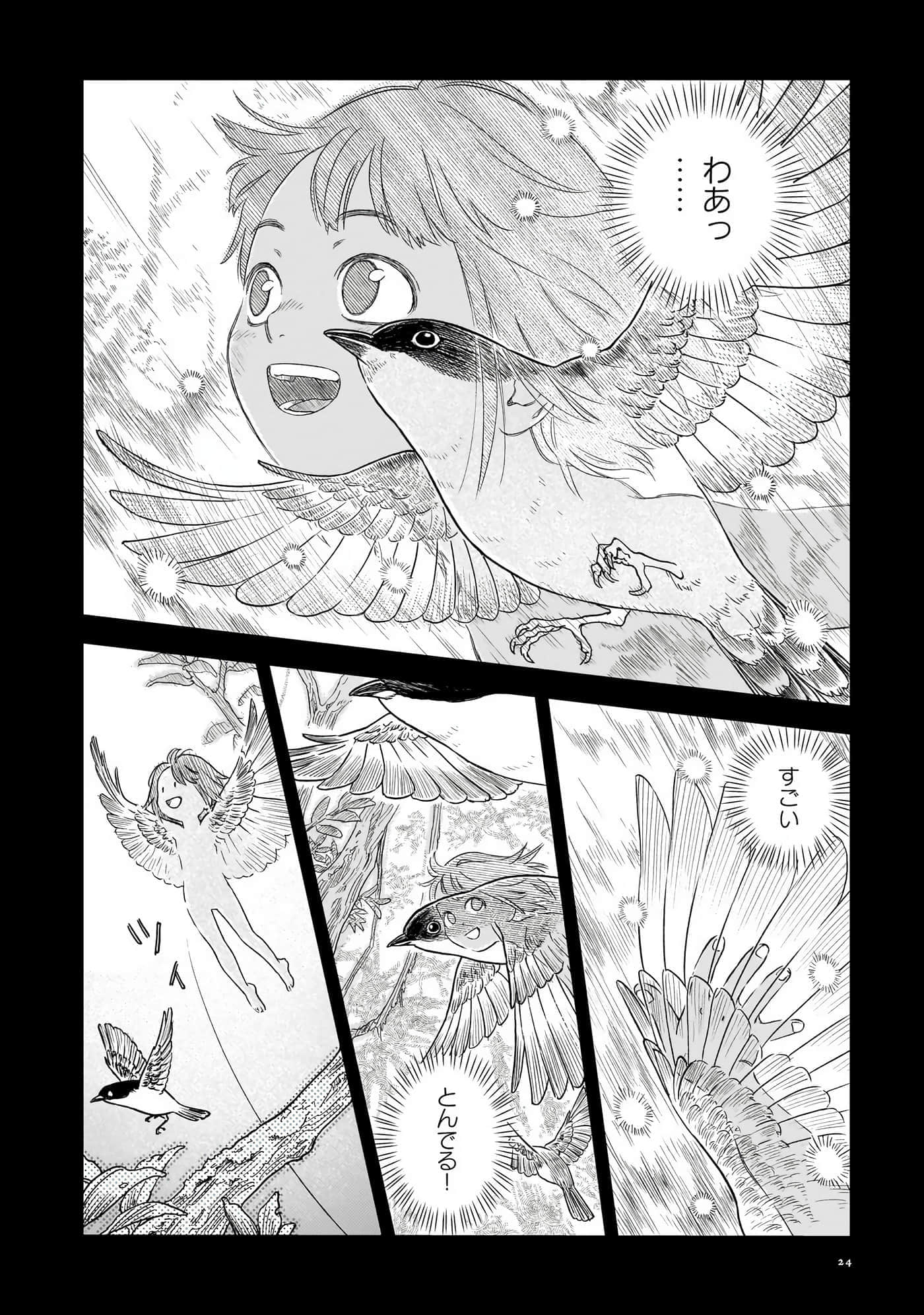 第 25 页