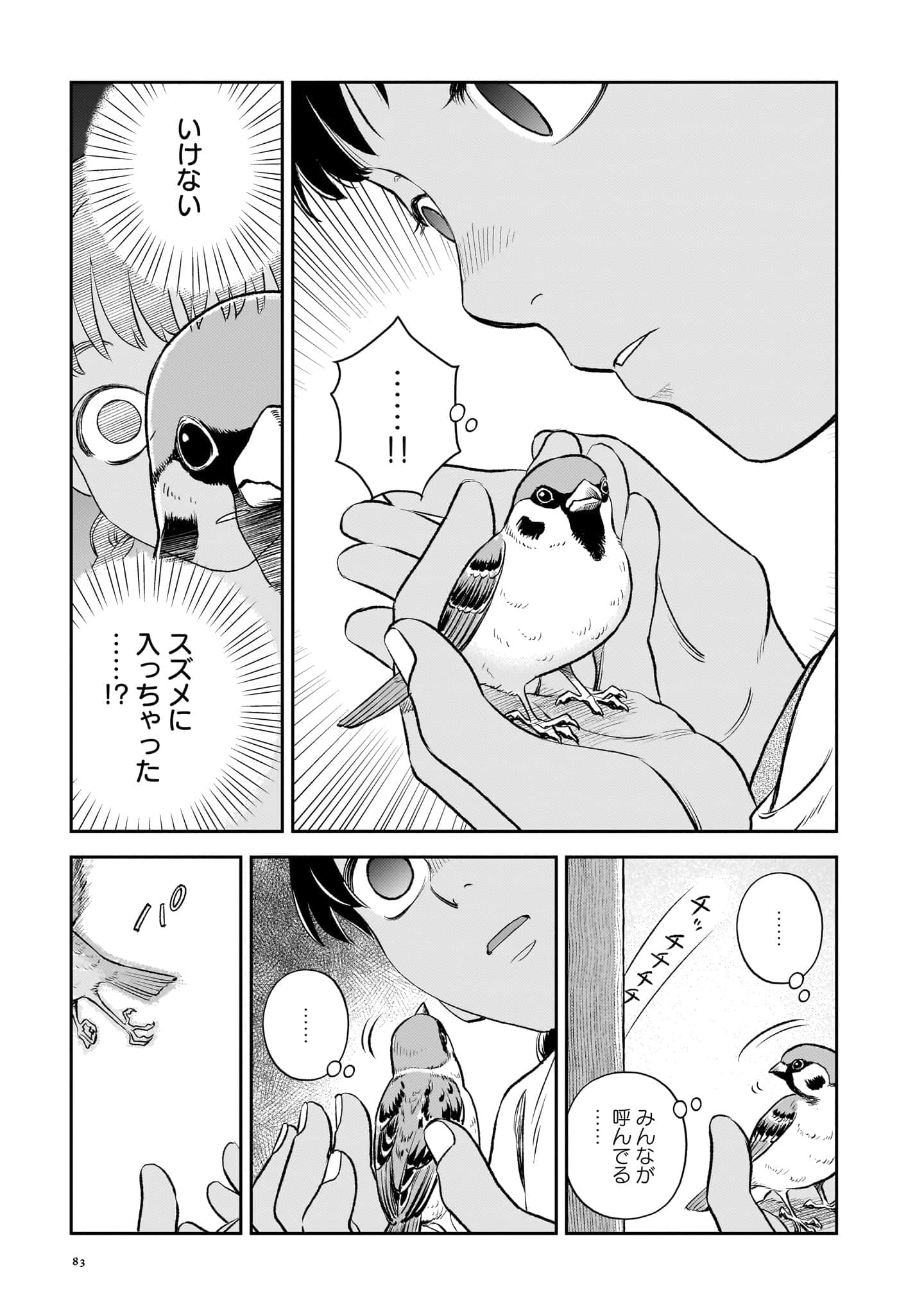 第 84 页