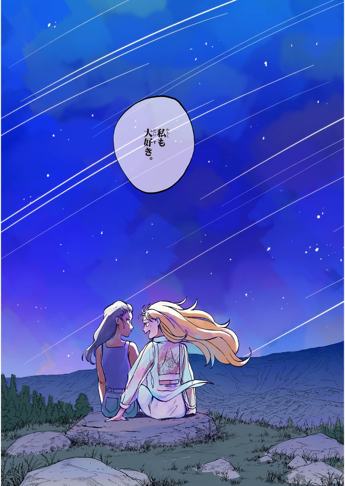 第 108 页
