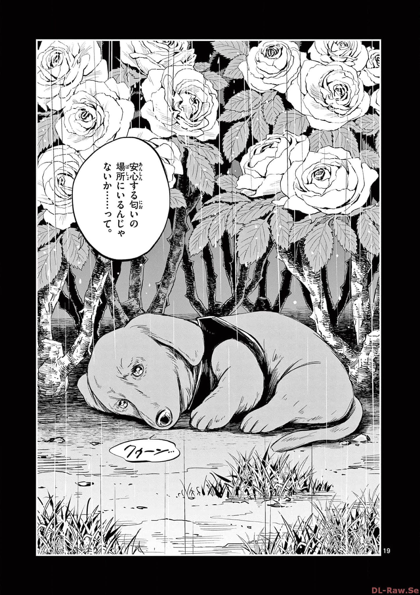 第 40 页