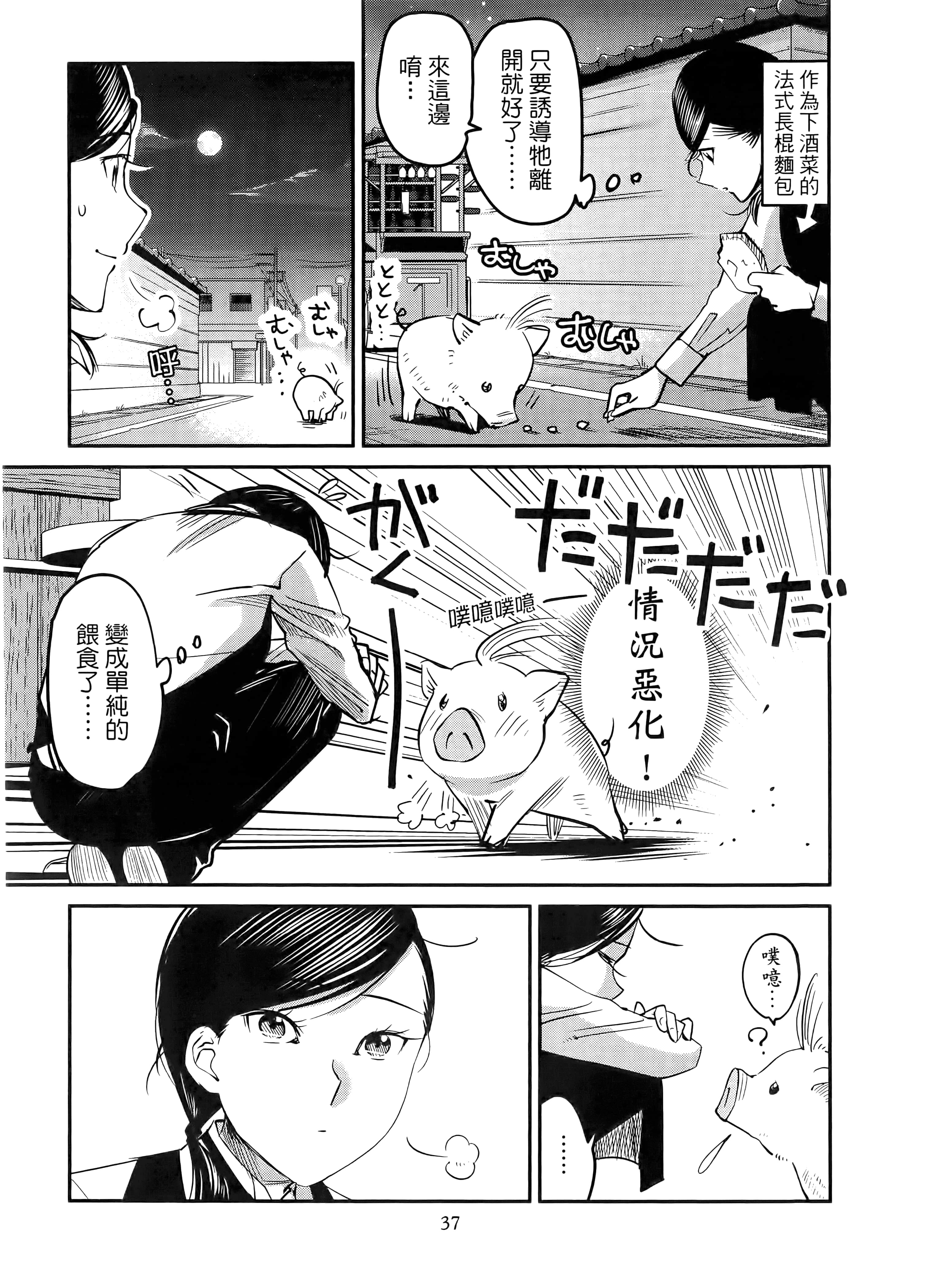 第 41 页