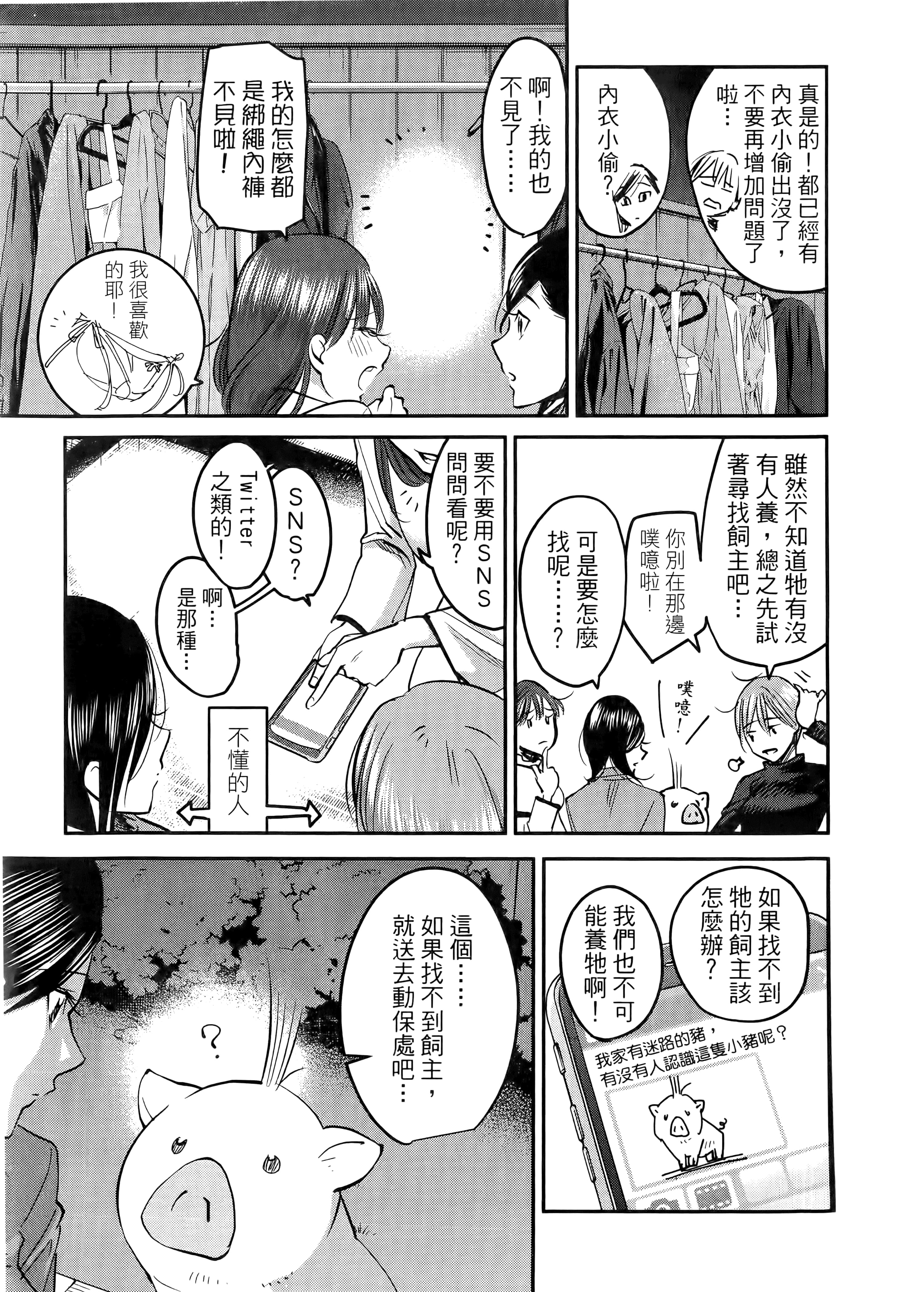 第 43 页