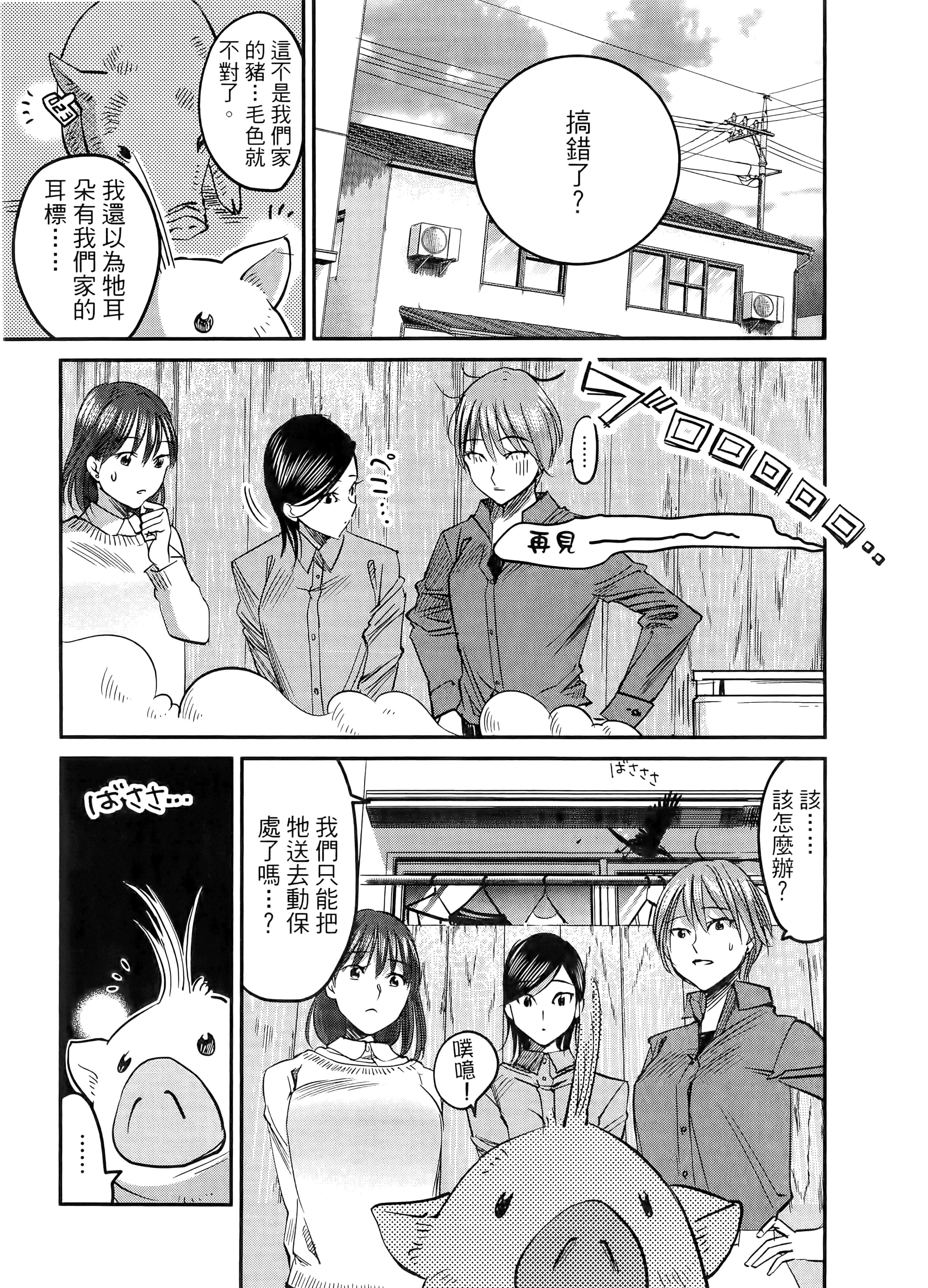 第 51 页