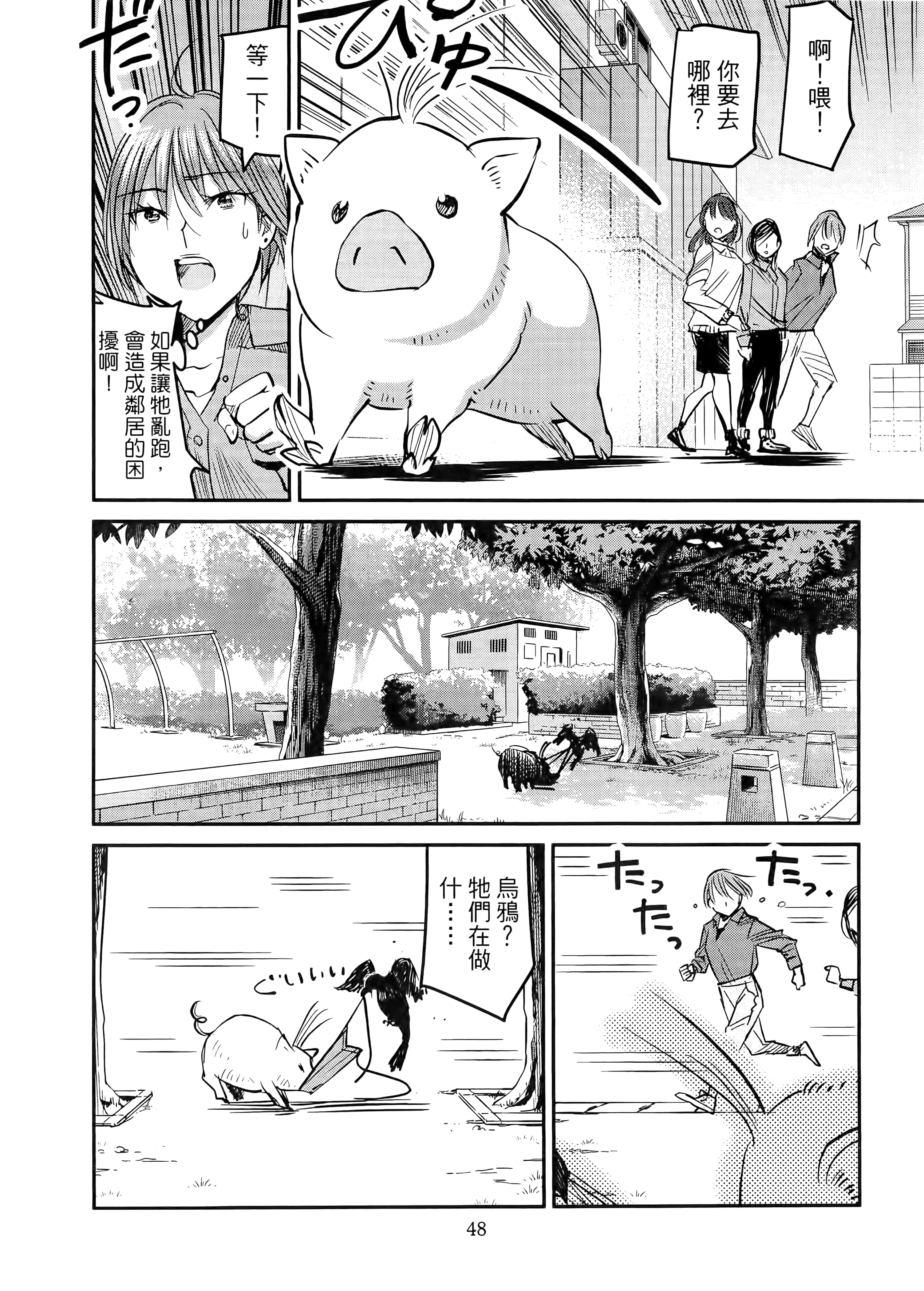 第 52 页